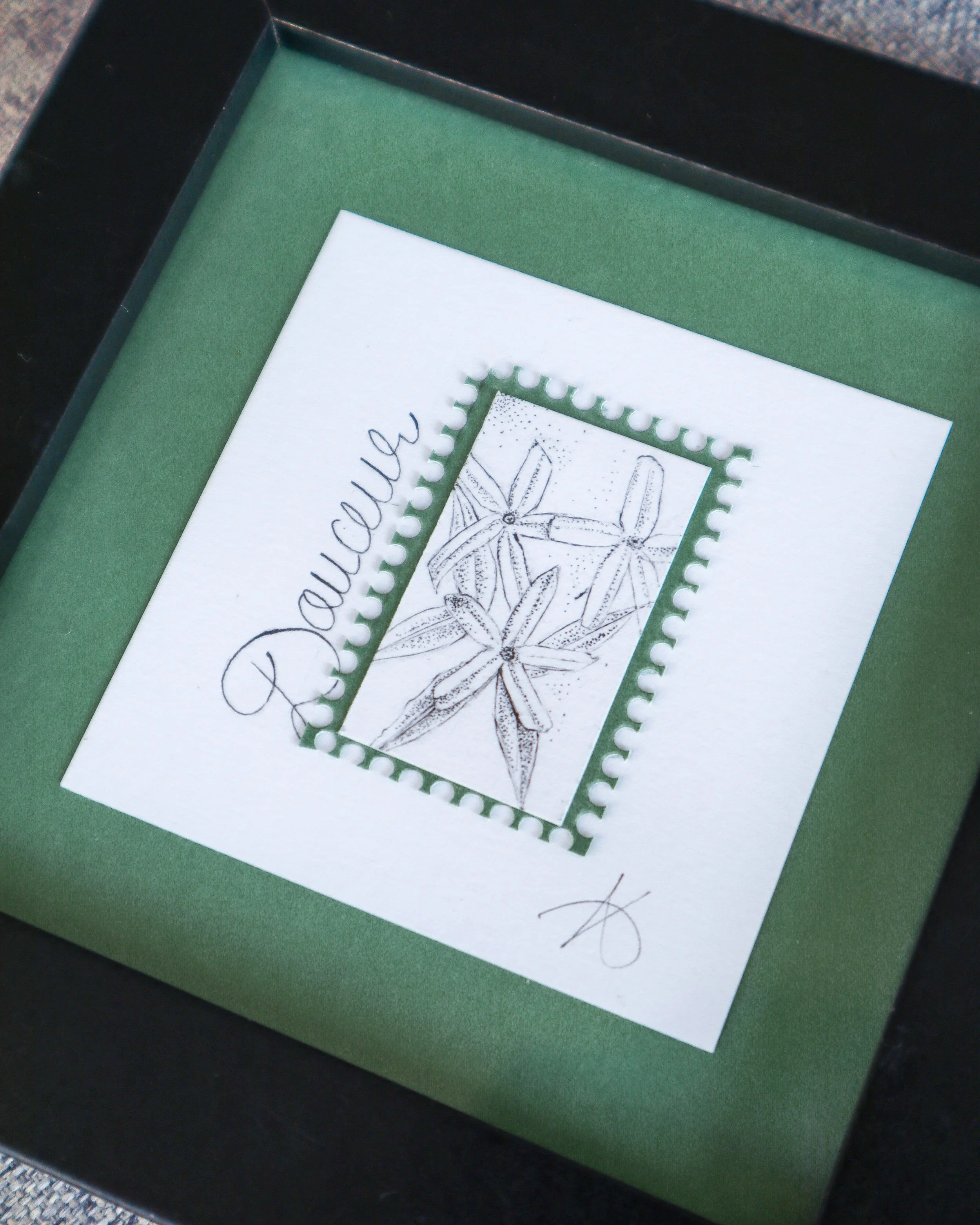 Détail pointillisme feutre noir Jasmin Douceur – fleur de jasmin et calligraphie