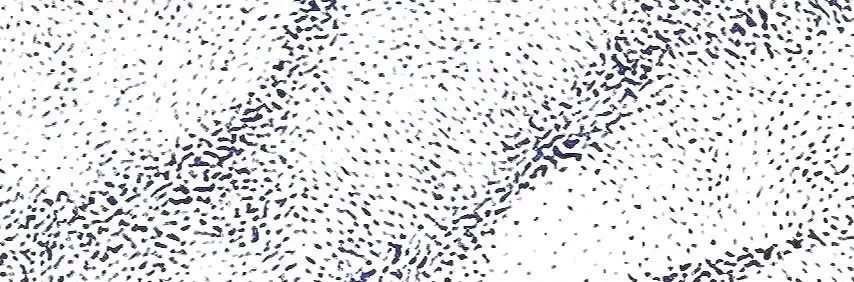Liberté, détail de l'oeuvre en pointillisme bleu