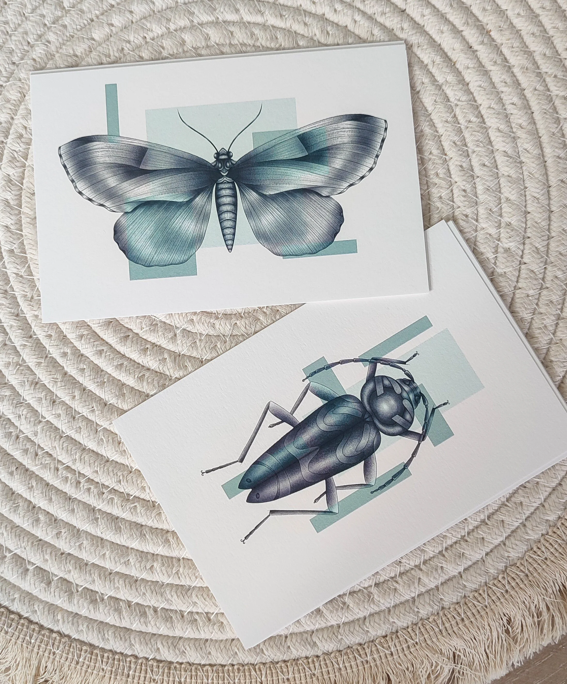 Print illustration numérique papillon ophidere empereur et coléoptère perceur de l'érable