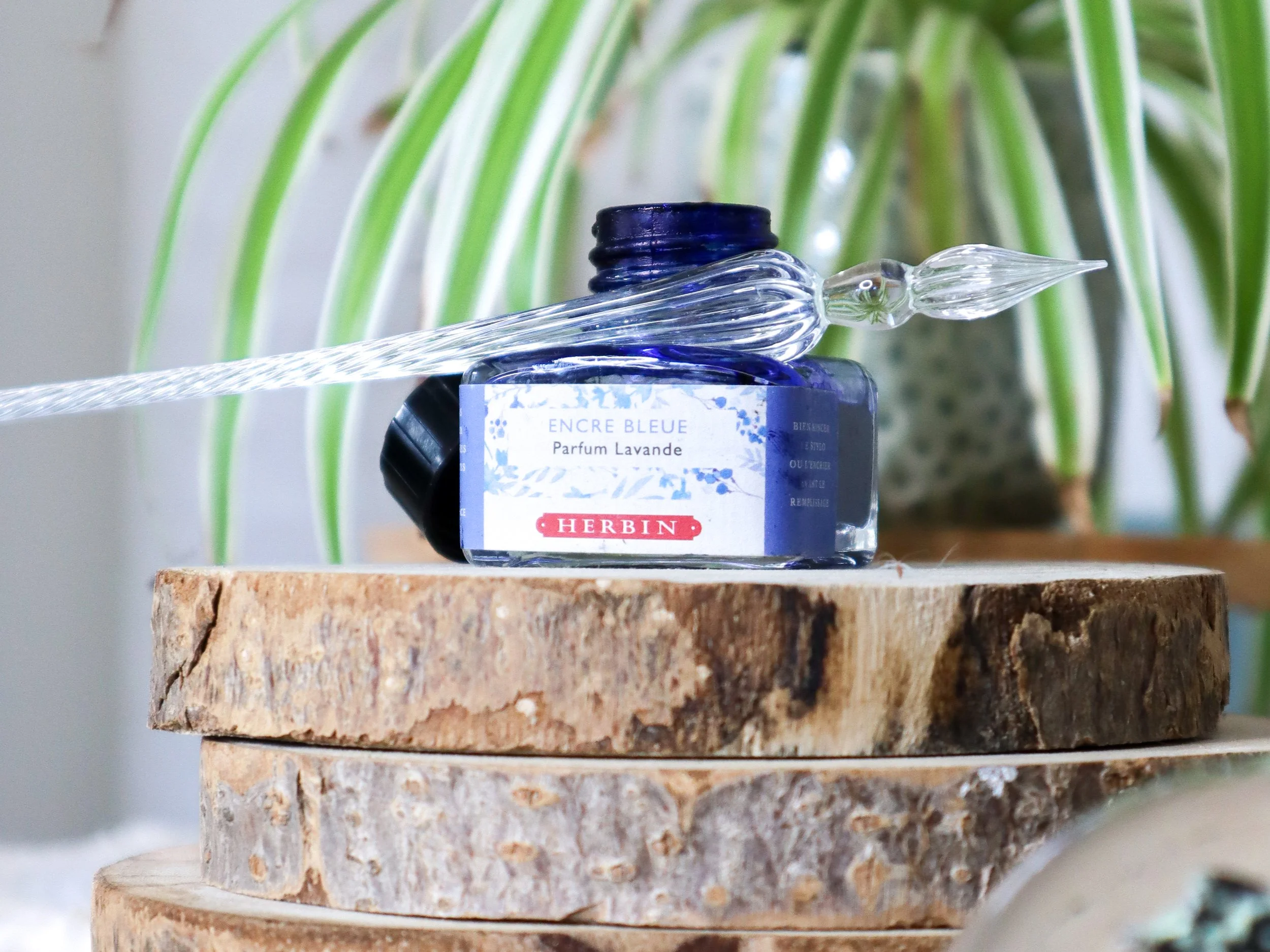 Atelier créatif à Amiens – Pointillisme en couleurs sur carte postale (janvier 2026)