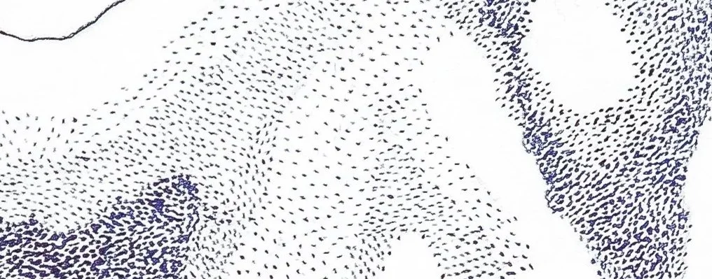 Mousson, oeuvre abstraite en pointillisme bleu détails