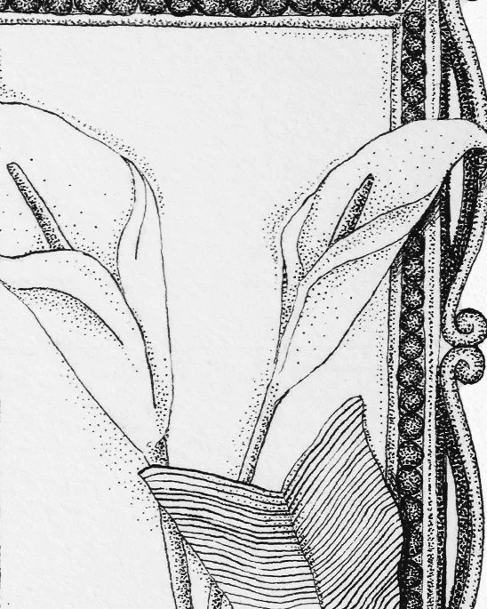 Dessin original en pointillisme représentant deux arums dans un cadre orné