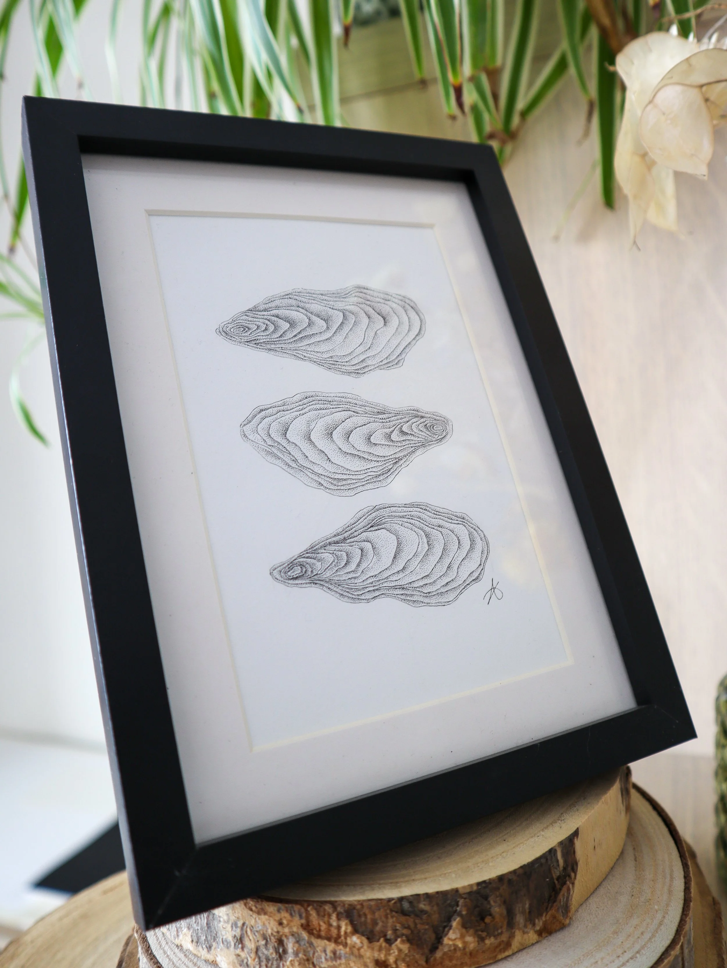 Détail pointillisme feutre noir Trois huîtres Marin – texture nacre et reflets