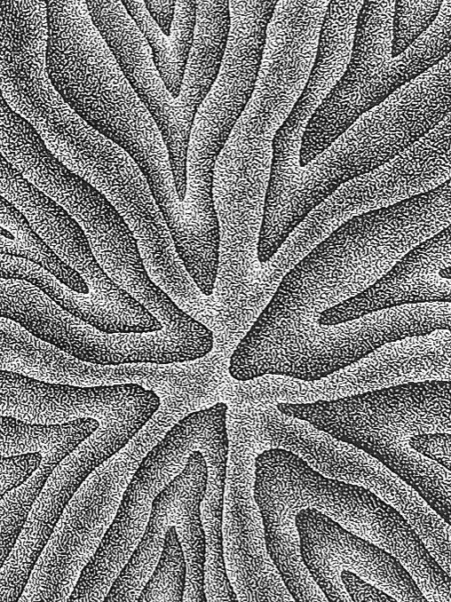 Oeuvre originale en pointillisme blanc sur noir