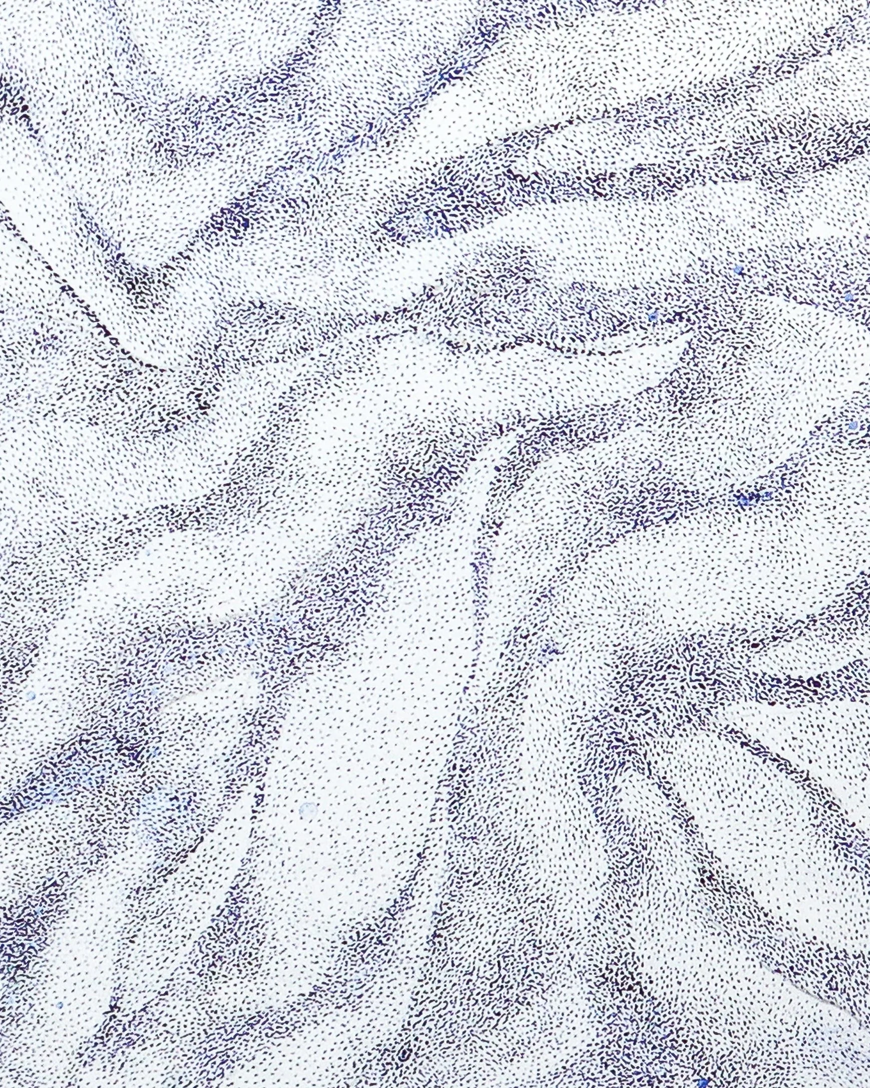 Oeuvre originale Liberté en pointillisme à l'encre bleue.jpg