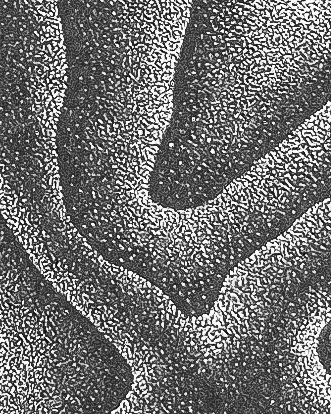 Œuvre originale pointillisme Décomposition Intérieure 10x10cm zoom