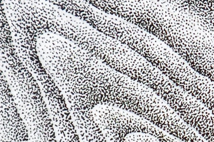 Plus un rêve, oeuvre originale en pointillisme noir détails