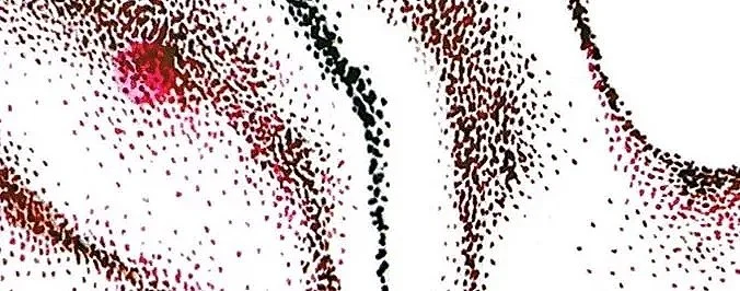 Rupture, détail de l'oeuvre en pointillisme rouge et noir