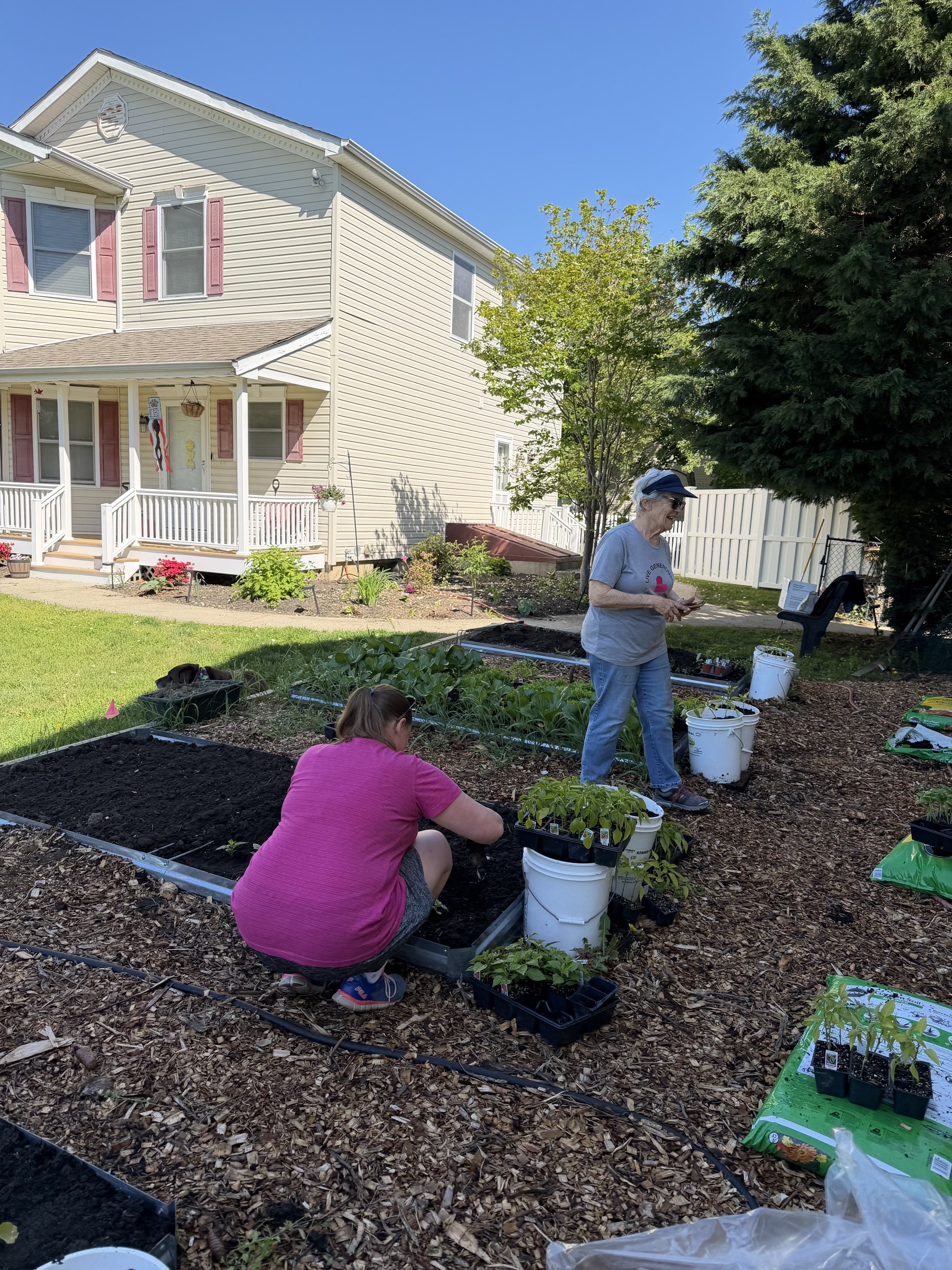 Second Garden Planting
