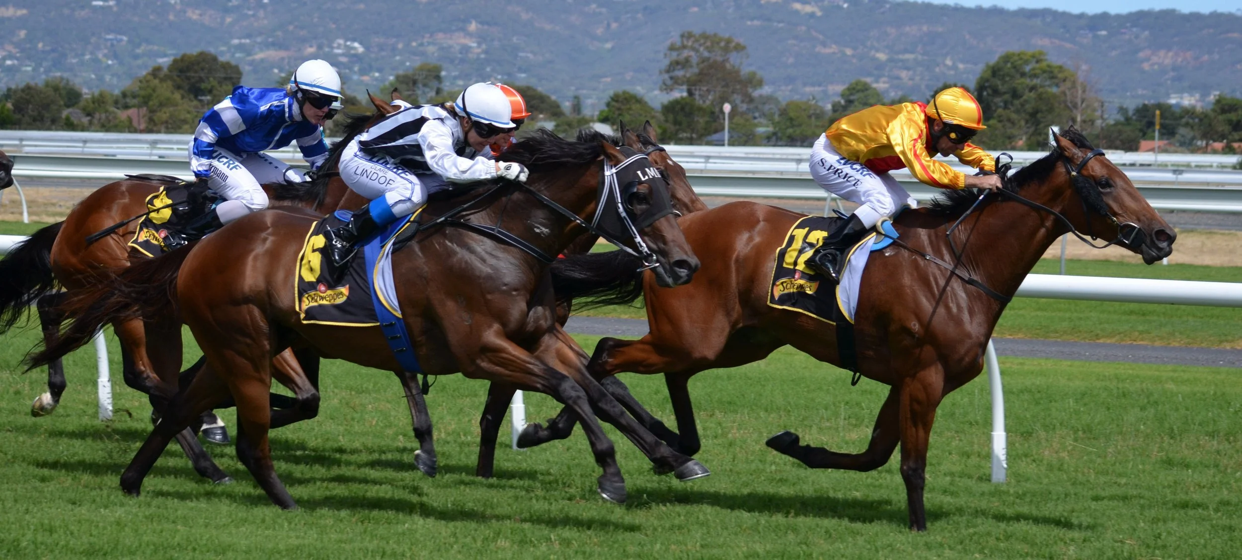 A Day at the Races