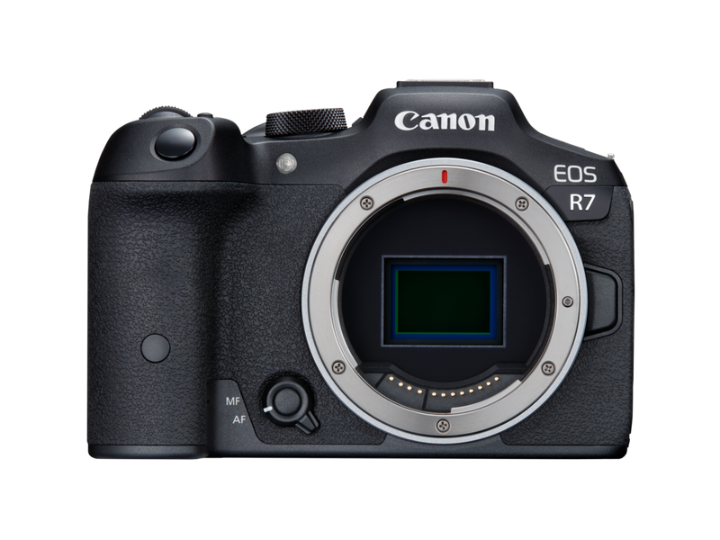 5 Best Cameras for Sports Photography in 2024
