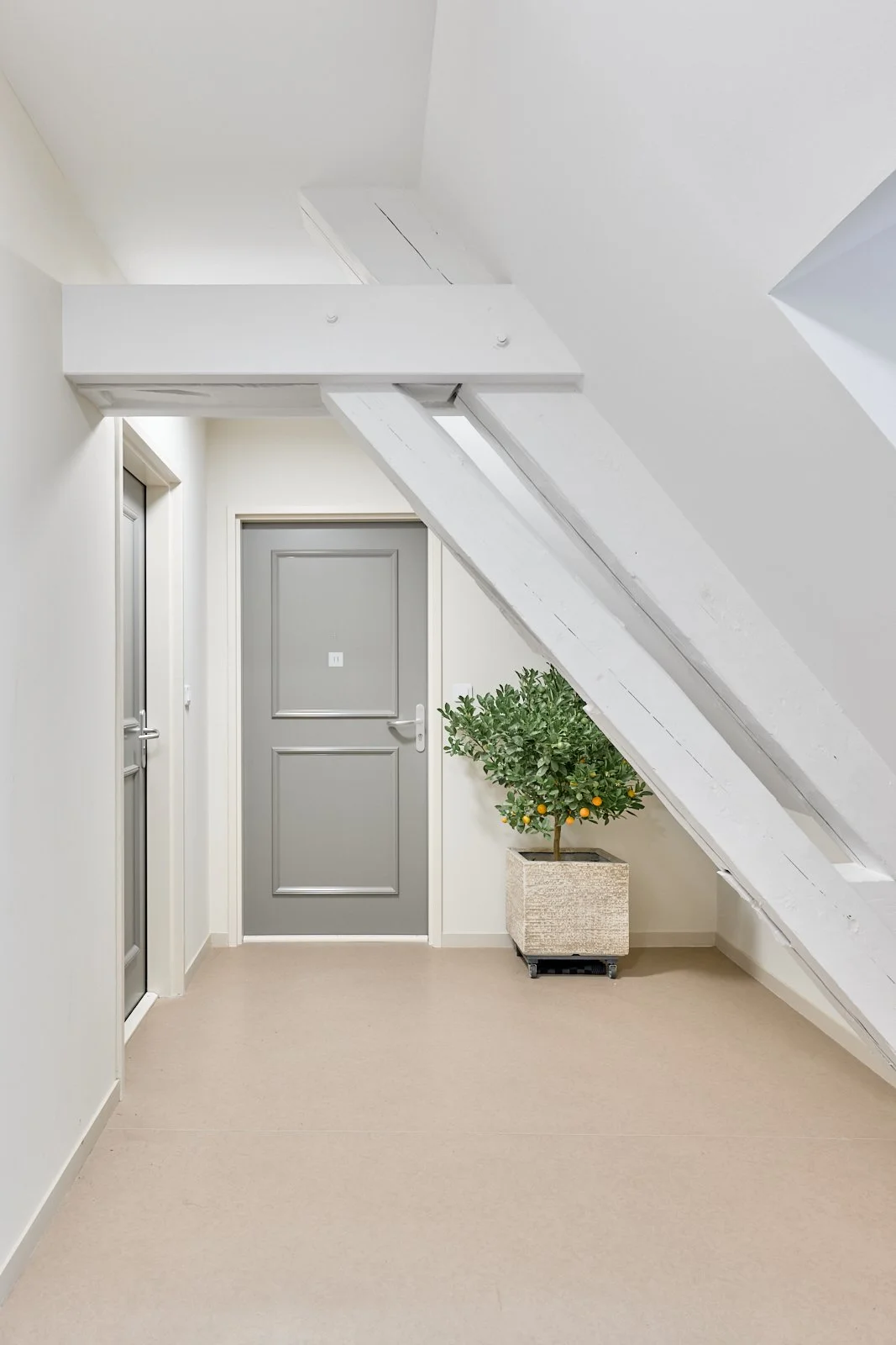 Rénovation de l'ancienne école des Beaux-Arts de Dole