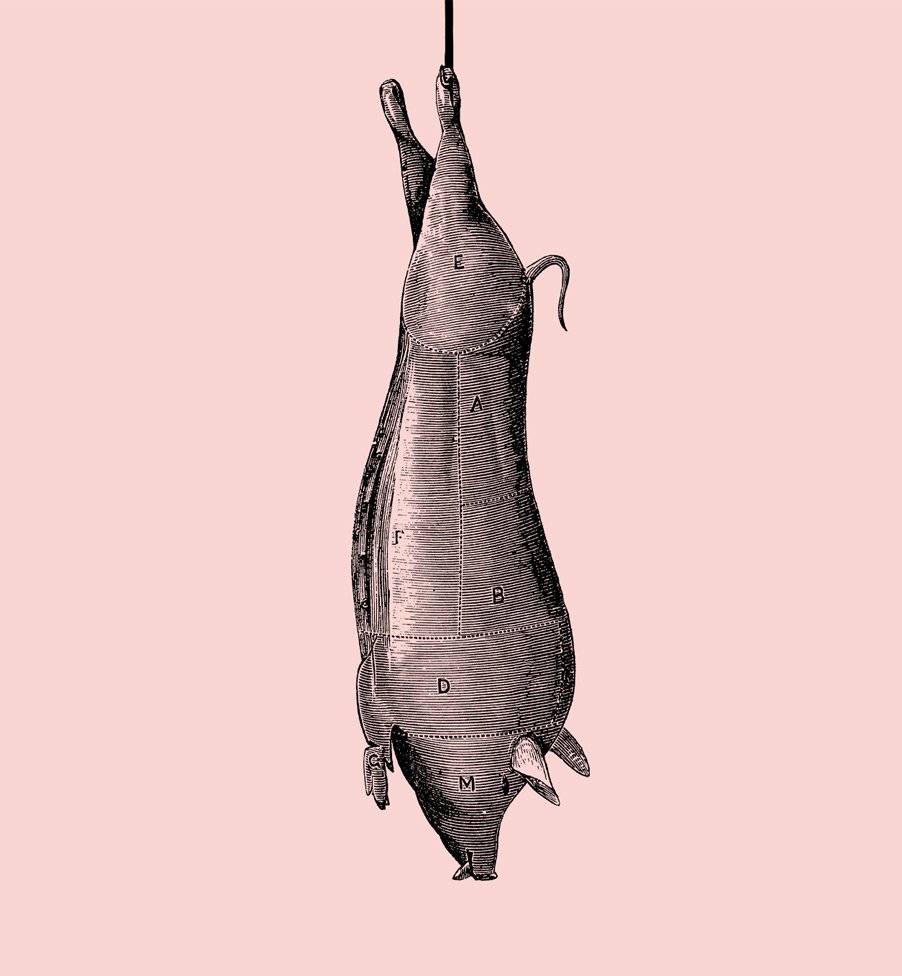 Illustration of a pig hanging by its hind legs, created as a brand asset for Paternoster Chop House.