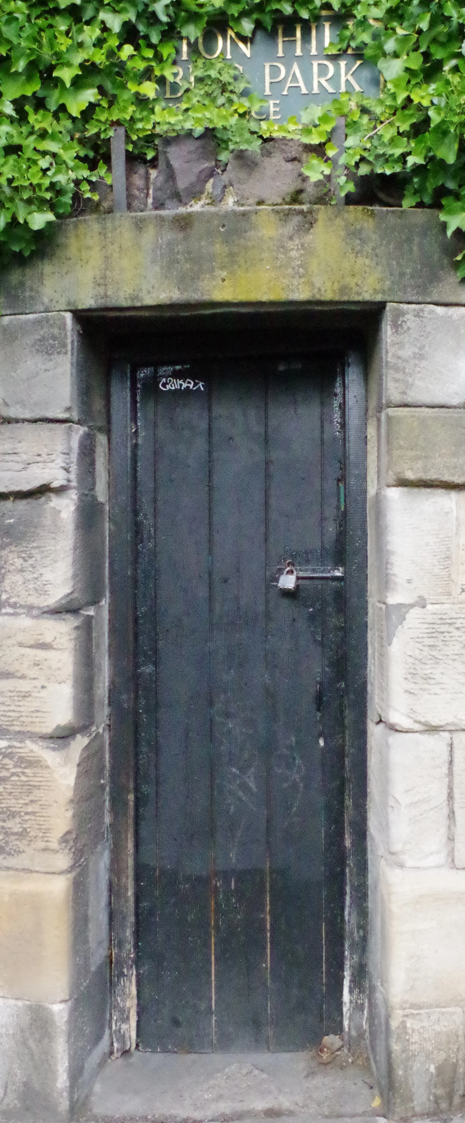 IMGP4536.JPG
