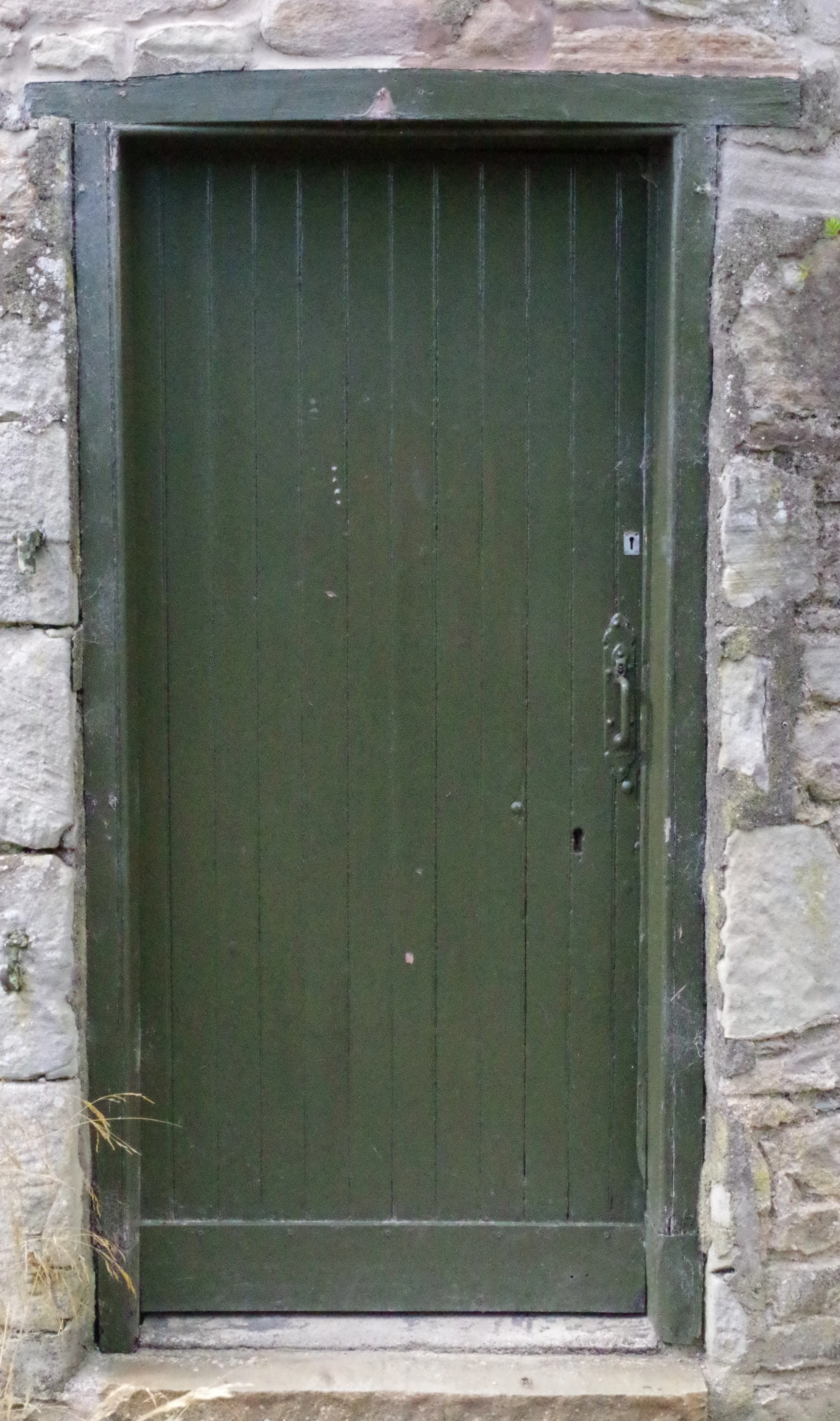 IMGP4616.JPG