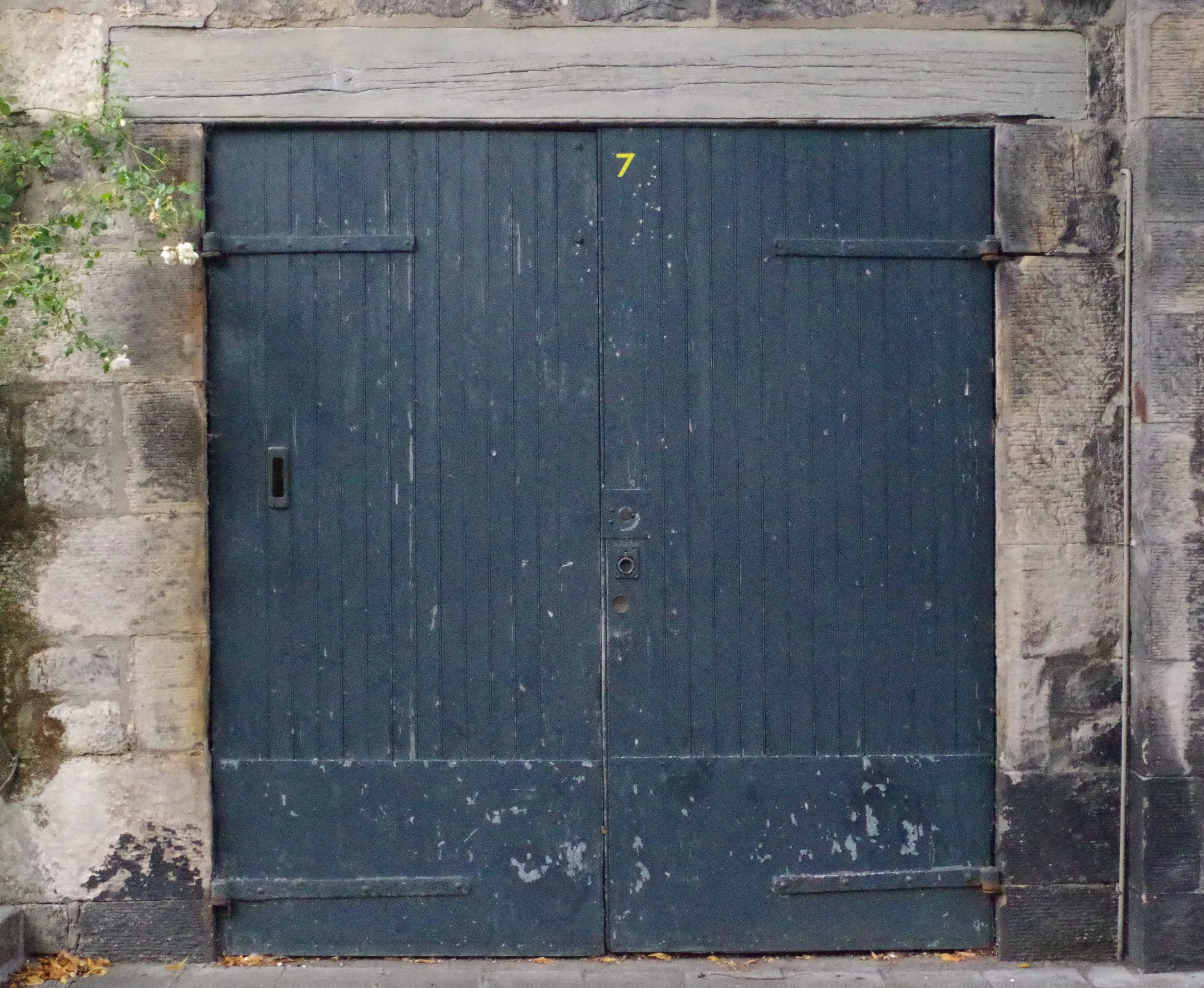 IMGP4520.JPG