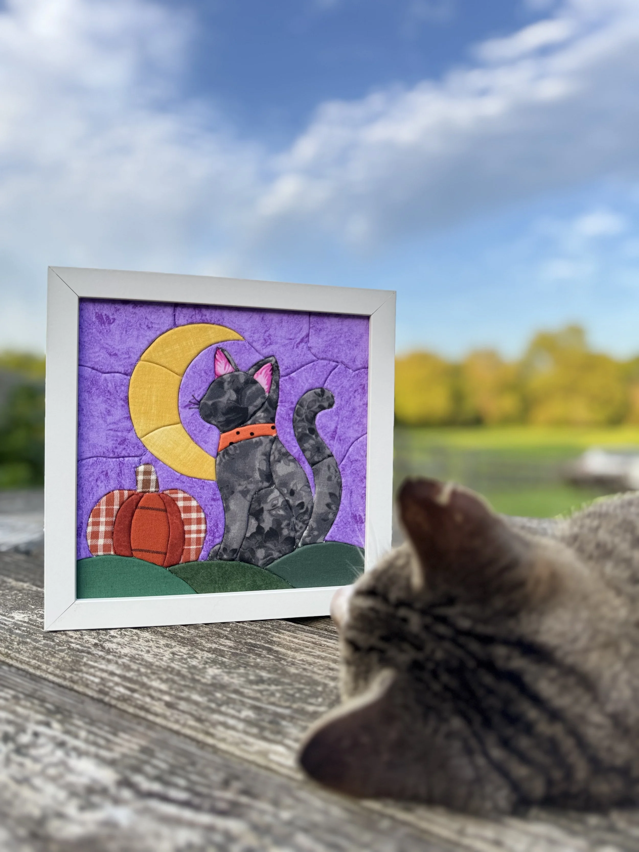 Beginner Kinusaiga Black Cat and Crescent Moon Workshop
