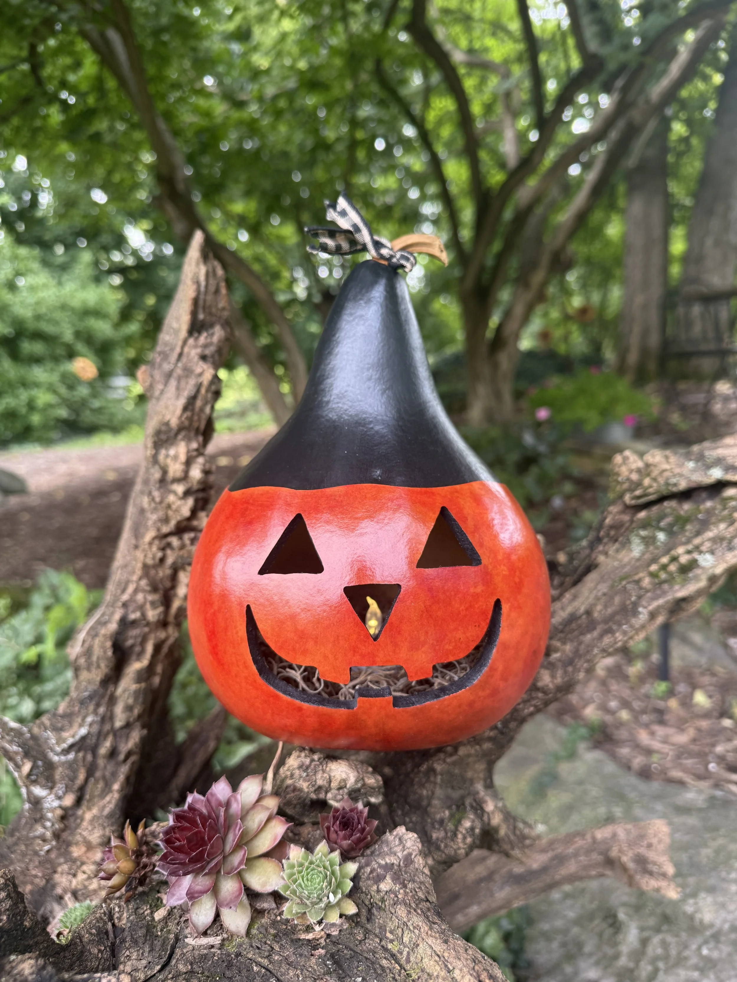 Jack-O-Lantern Gourd
