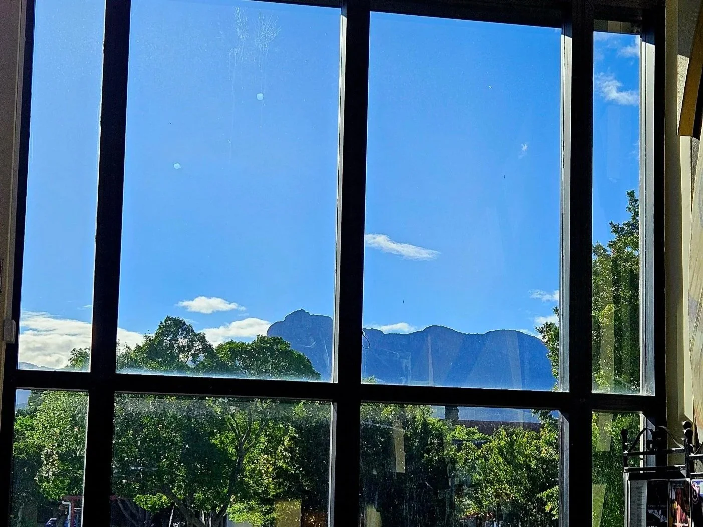 Stellenbosch University