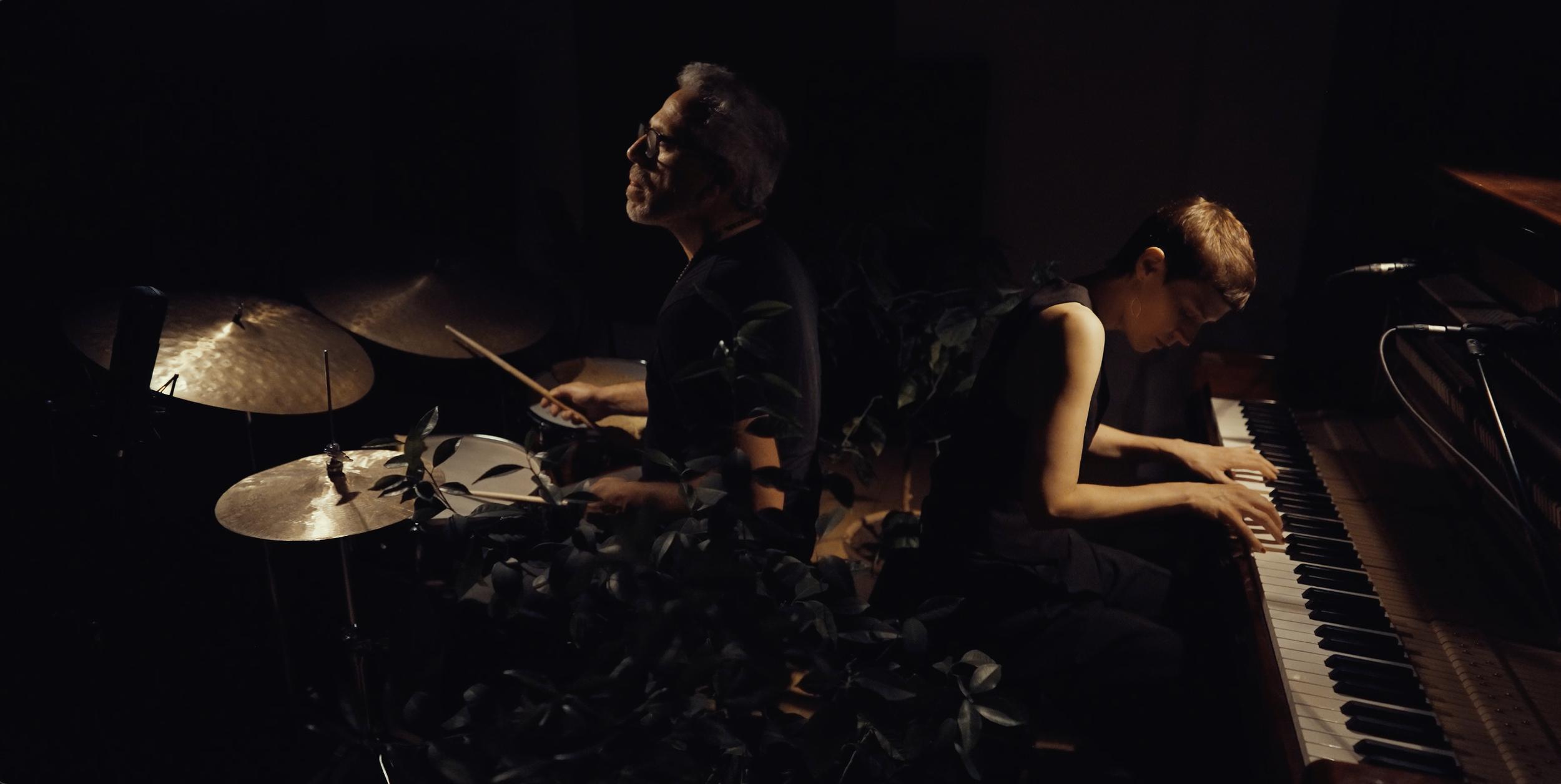 “Bridge” | Live Video 