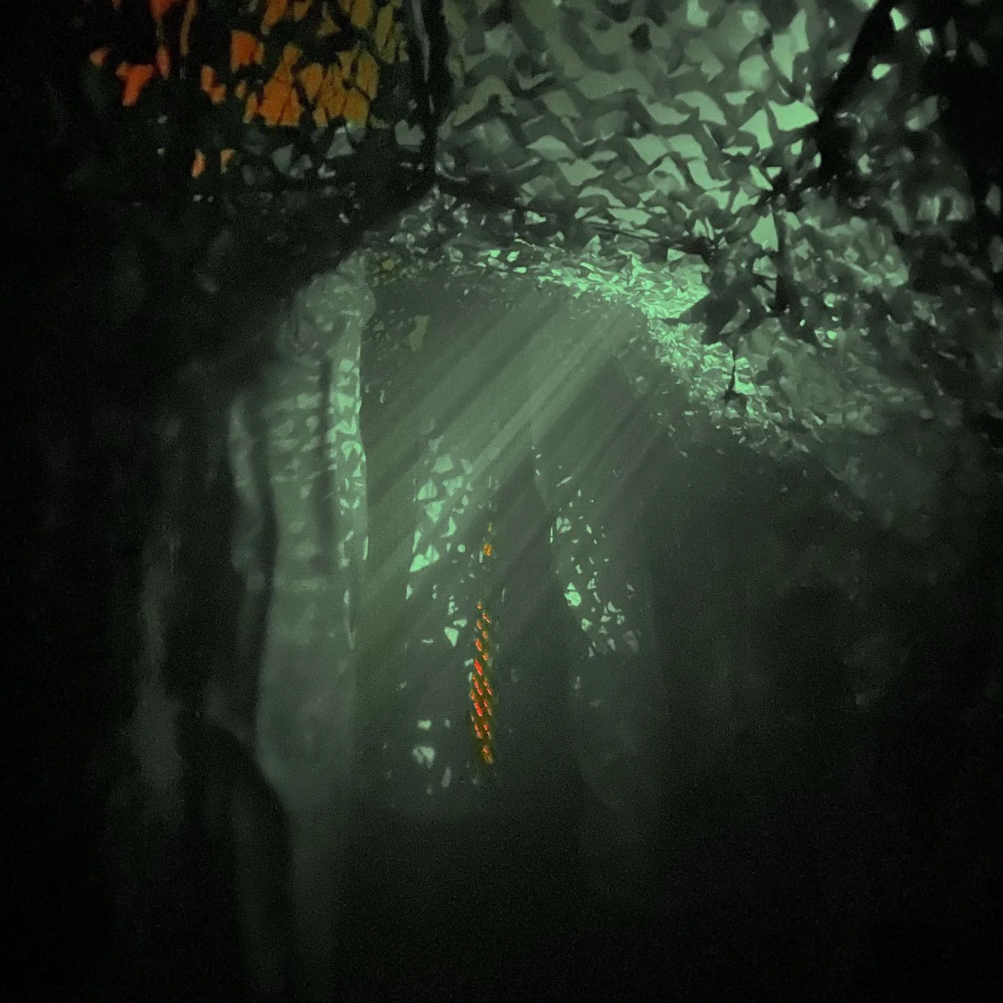 House Gallery — Ritual Haunted House