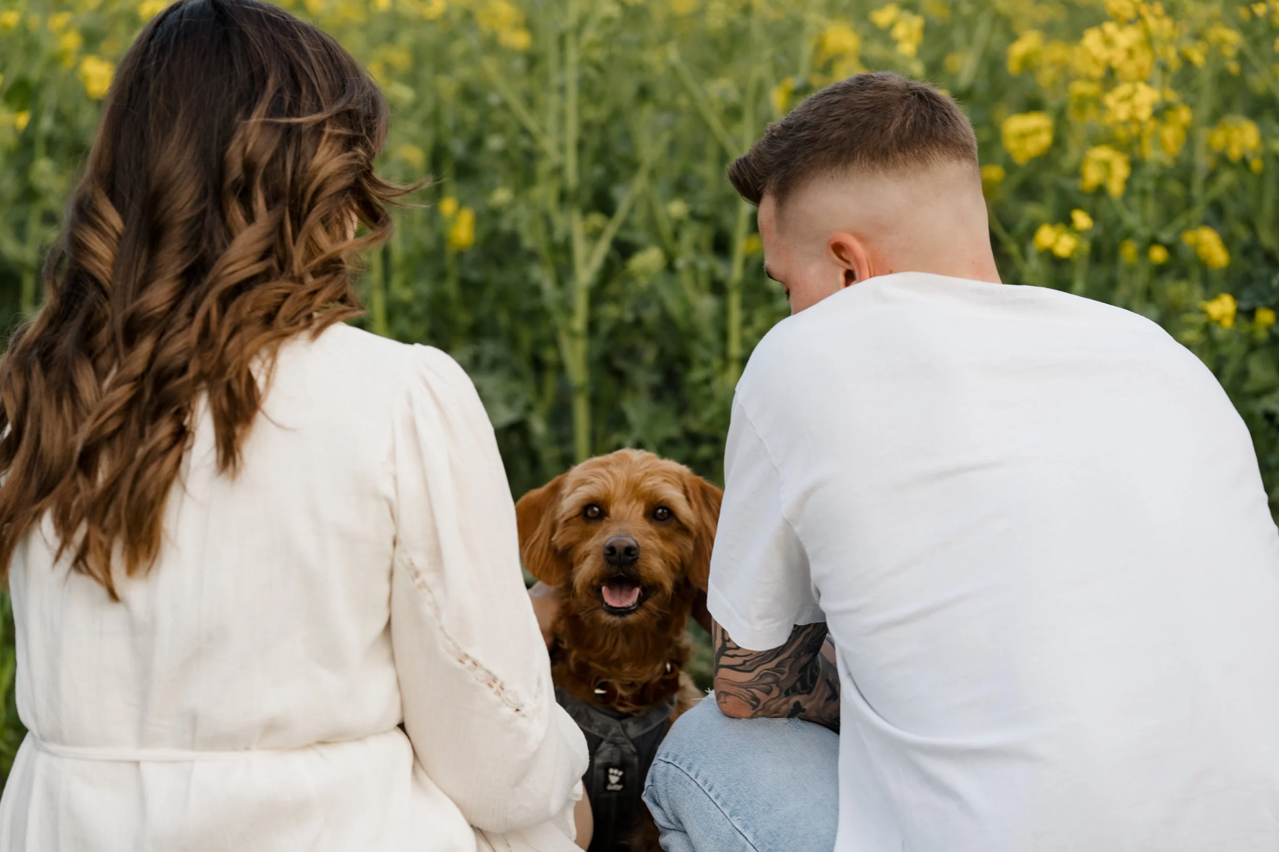 Hundesession-Pedro©JulianaBoden-010.jpg