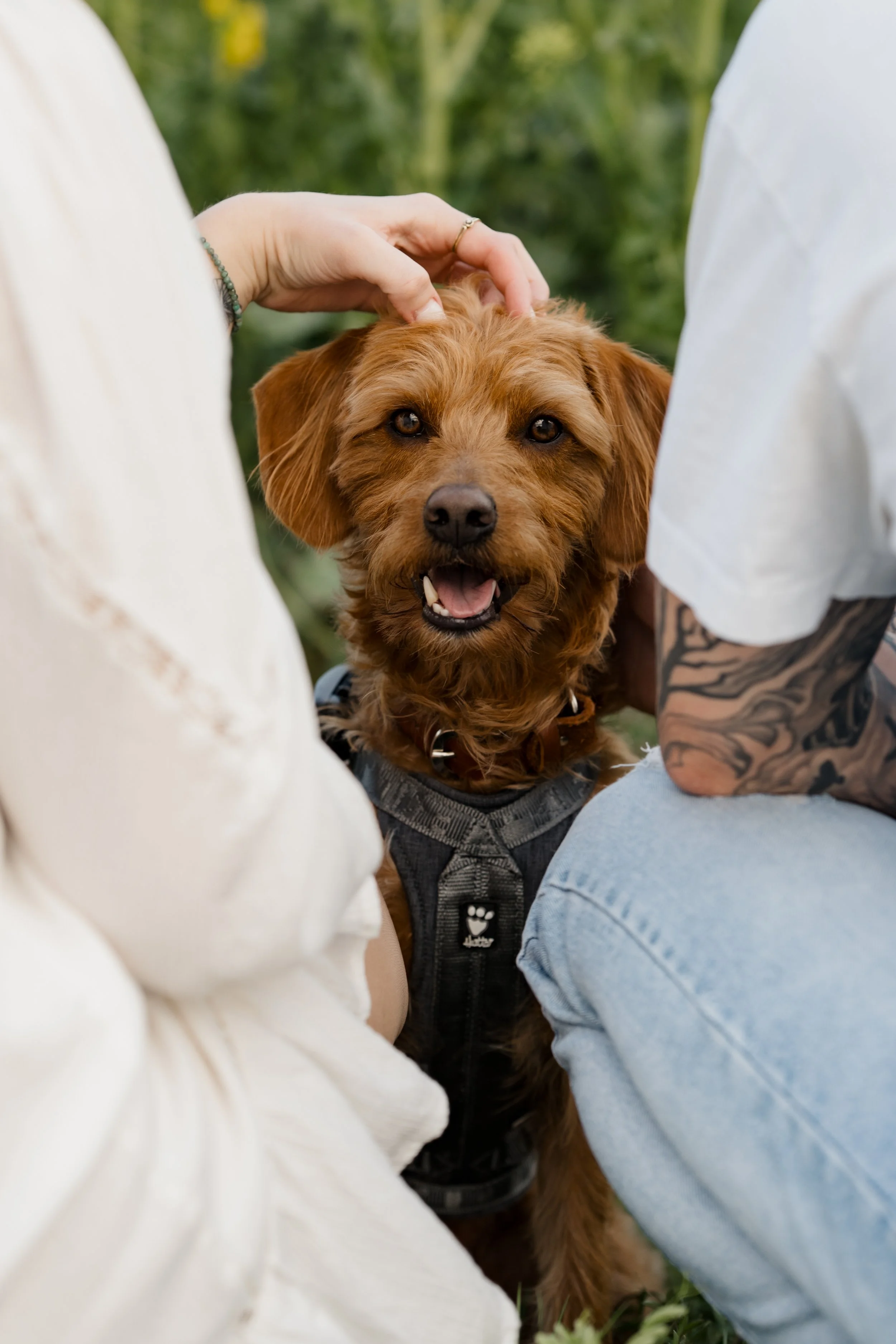 Paarfoto mit Hund Pedro, der zwischen seinen liebevollen Menschen in die Kamera lacht.