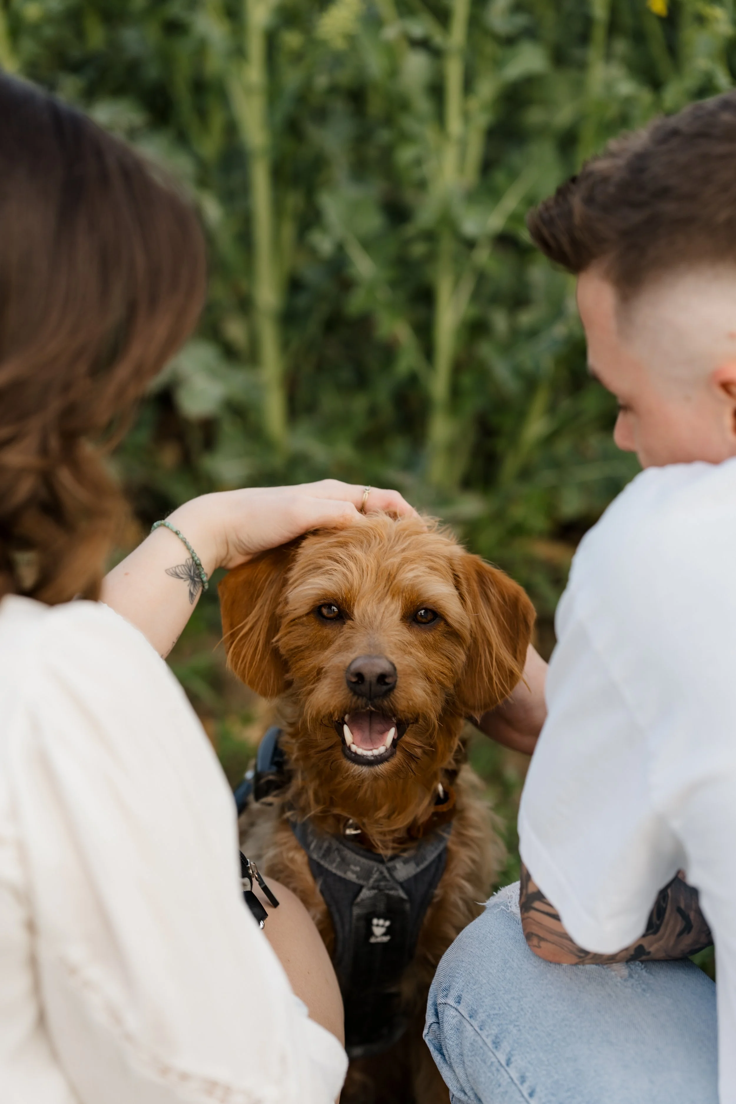 Paarfoto mit Hund Pedro, der zwischen seinen liebevollen Menschen in die Kamera lacht.