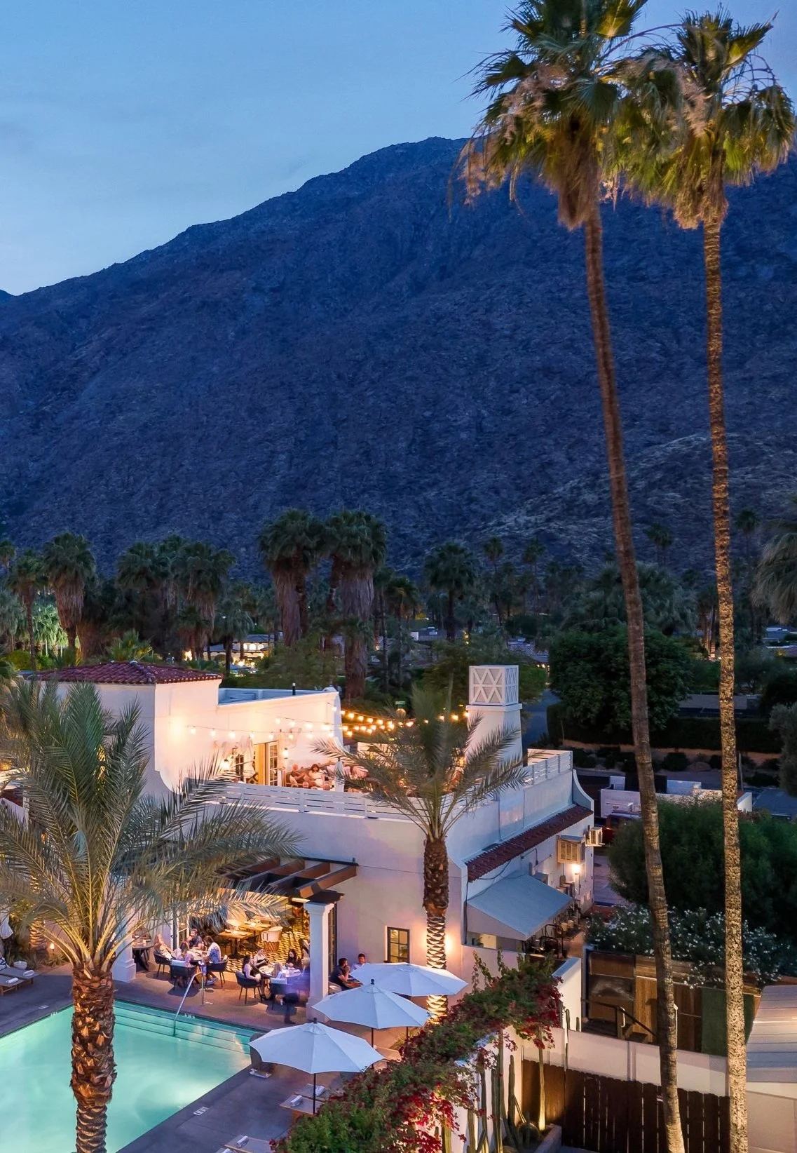 Azúcar — La Serena Villas