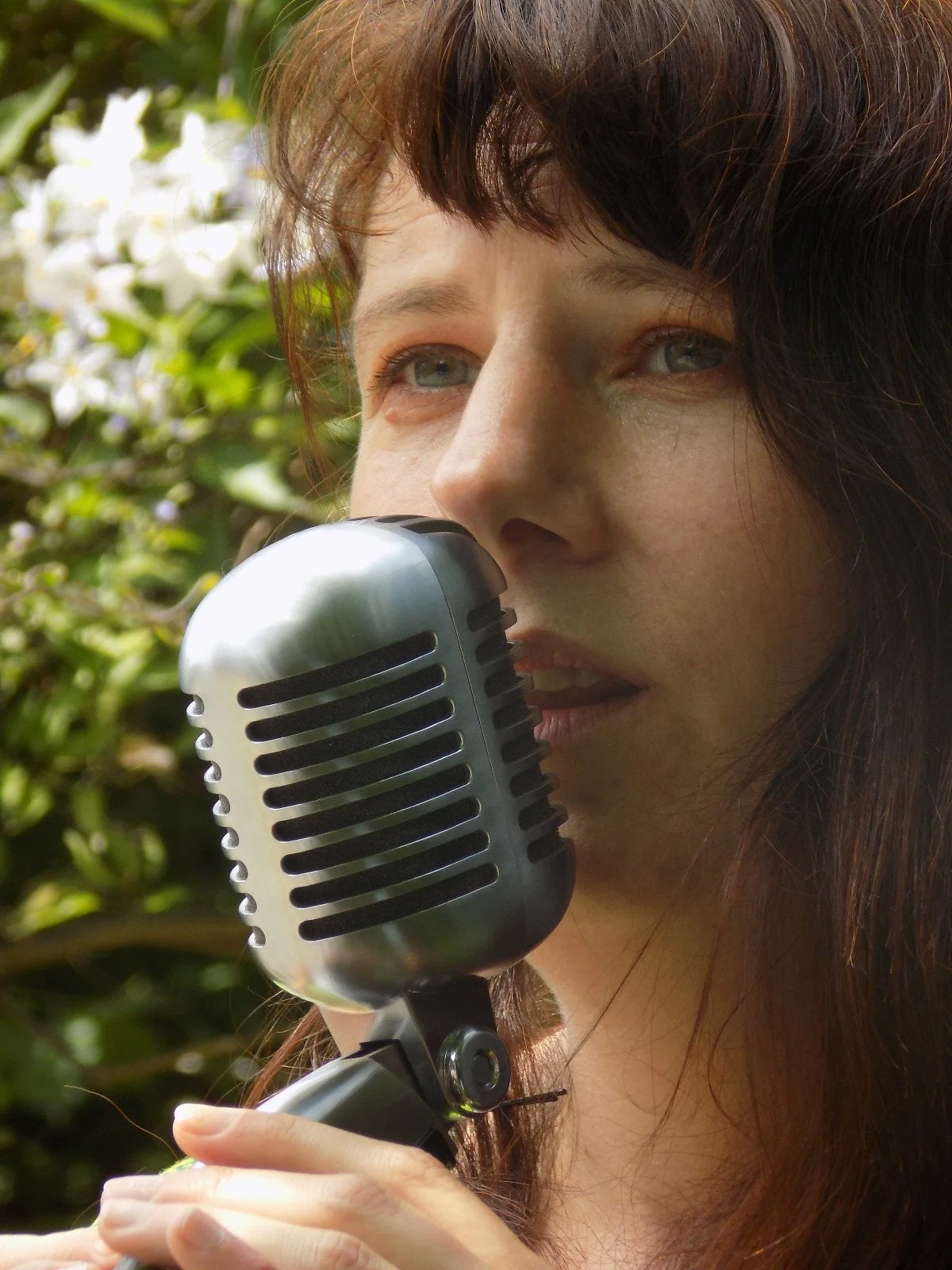 Conte Maison de l'écologie.jpeg