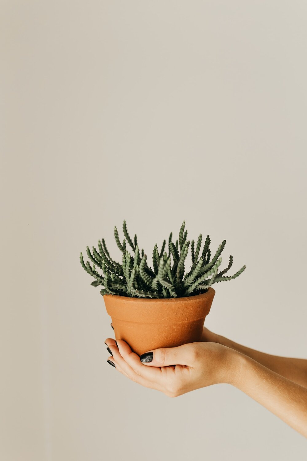 Why NOW is the best time to start planning your private practice…
