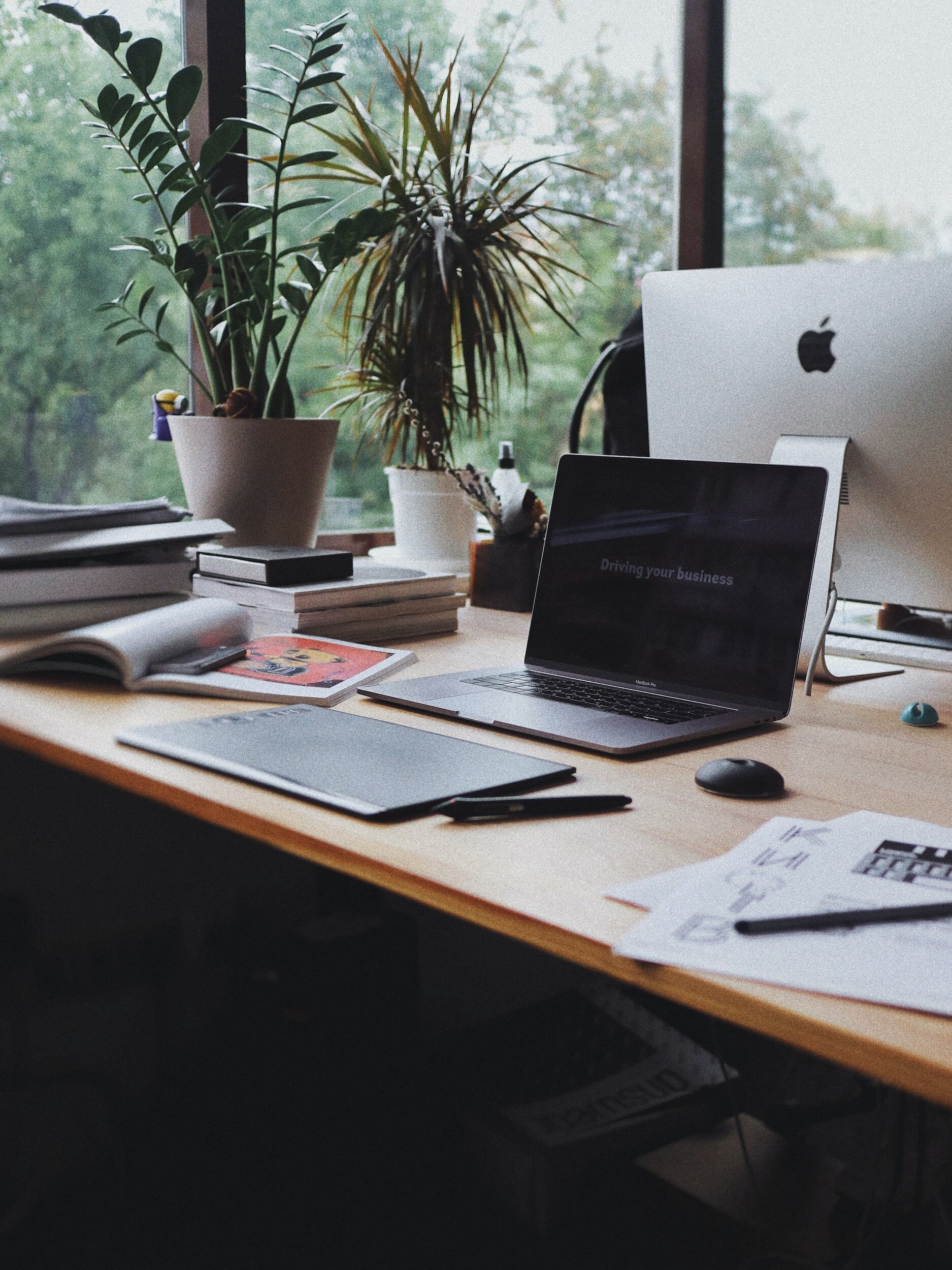 Unlock Success with Strong Roots Mentorship: Your Path to Private Practice Mastery
