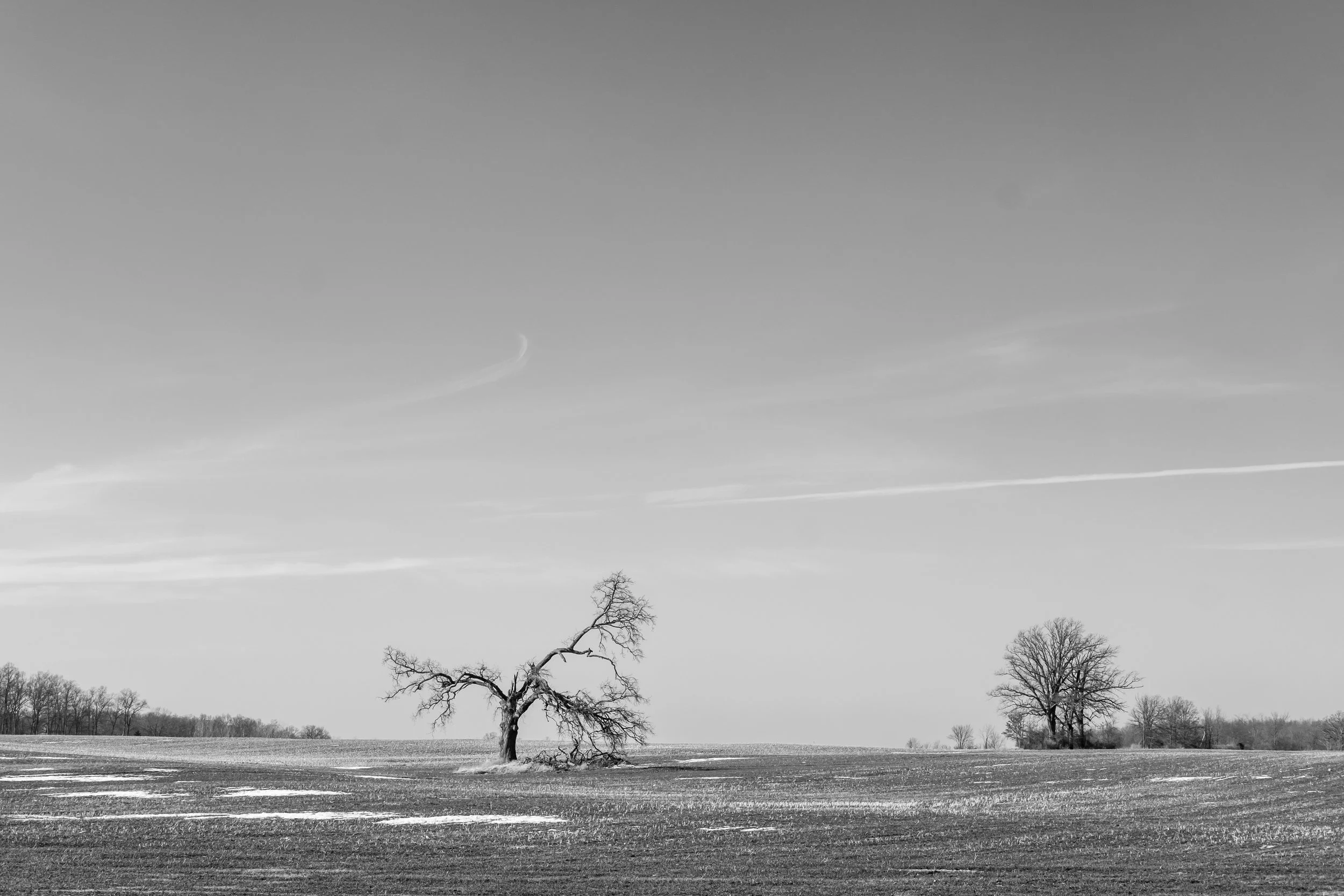 Washtenaw County, 2020