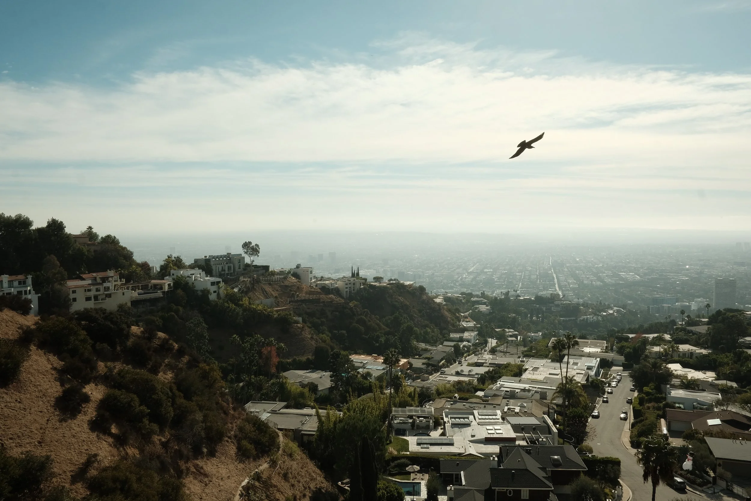 Hollywood Hills | 2024