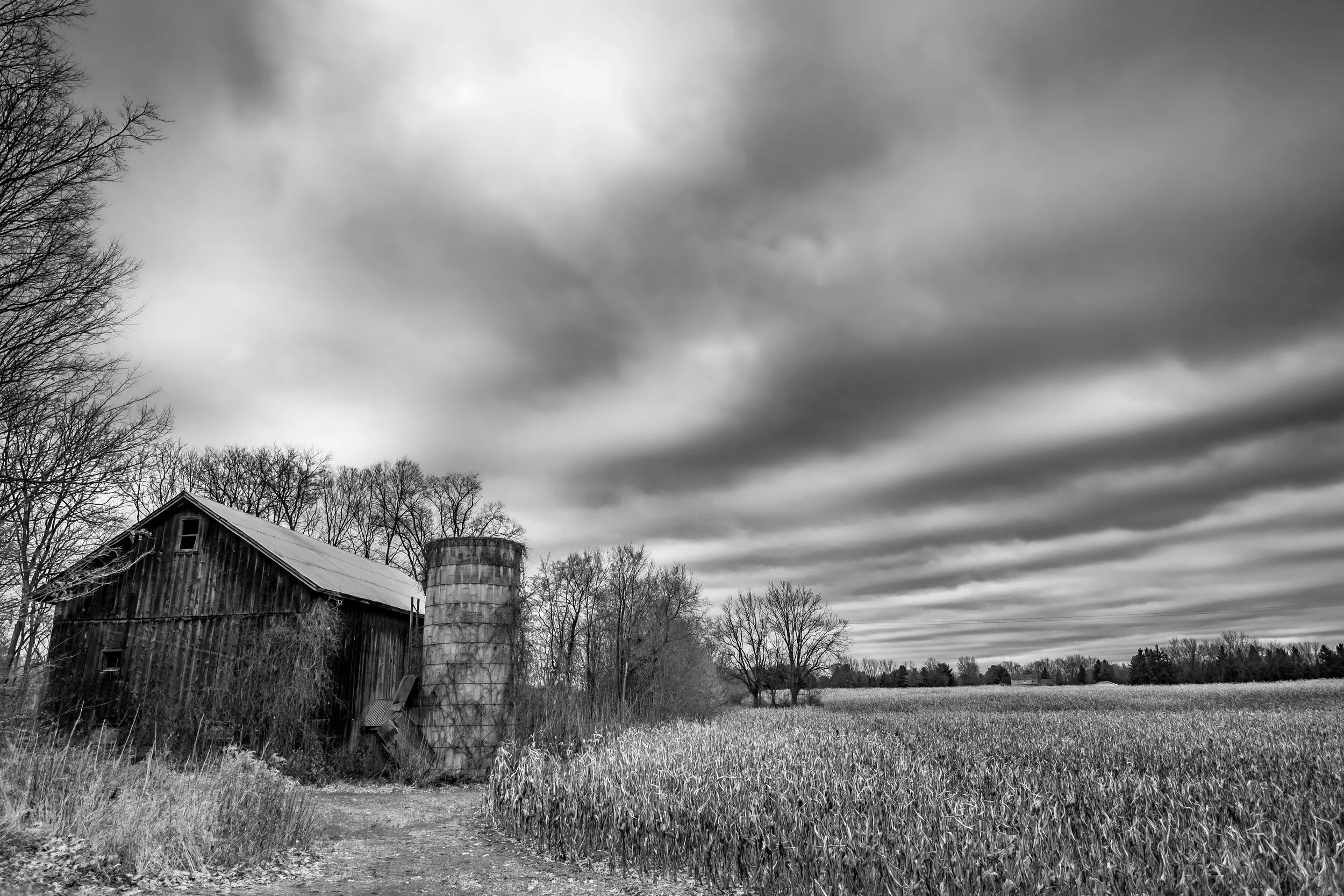 Washtenaw County, 2020