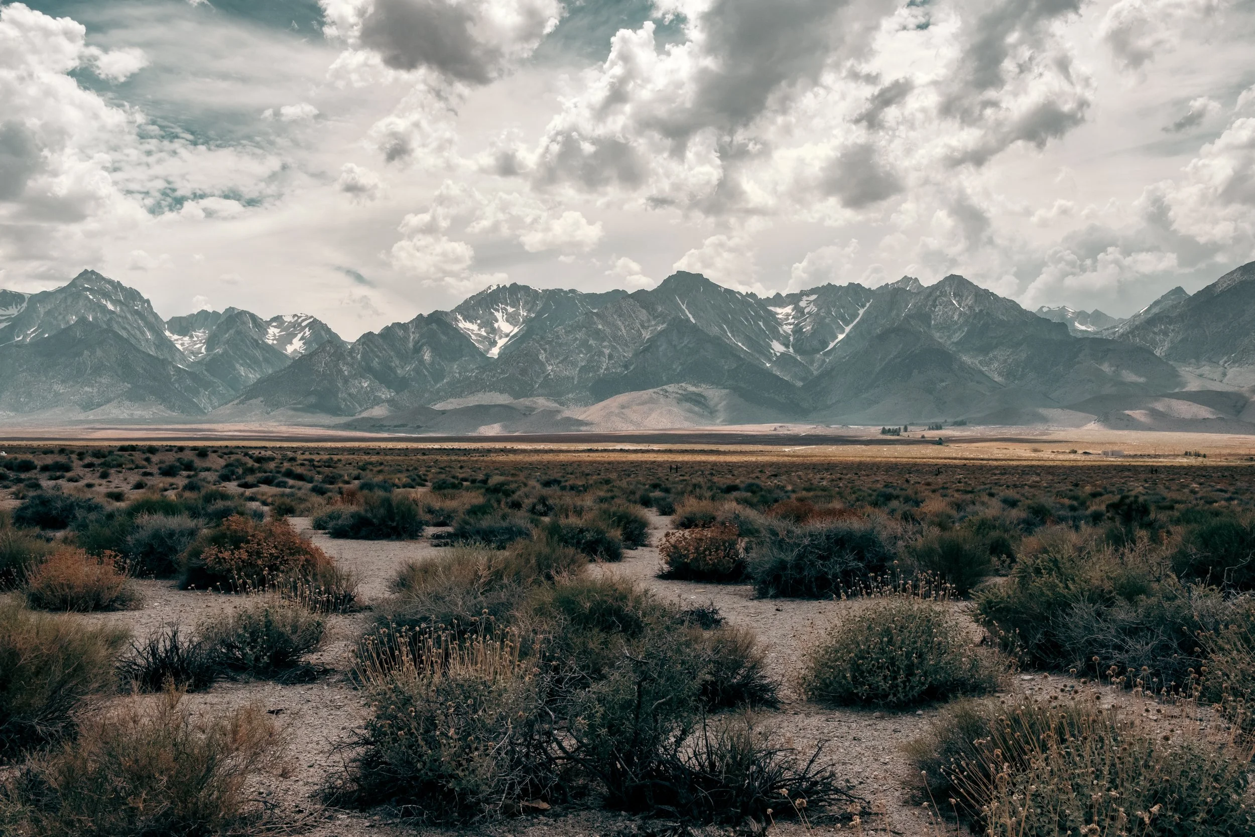 South Sierra Wilderness, 2023