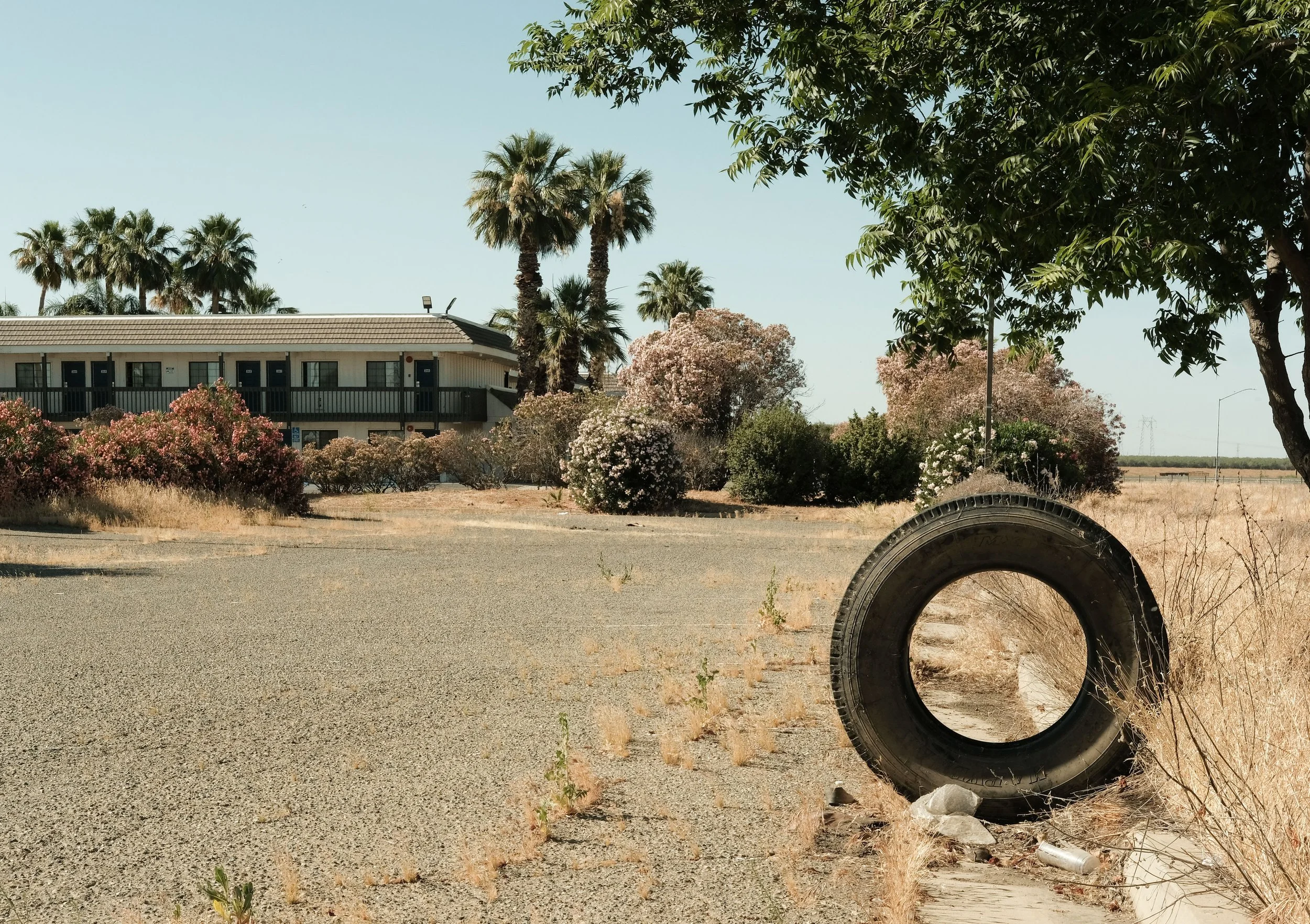 Central Valley, 2024