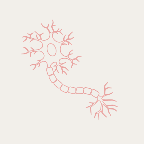 neuro.png
