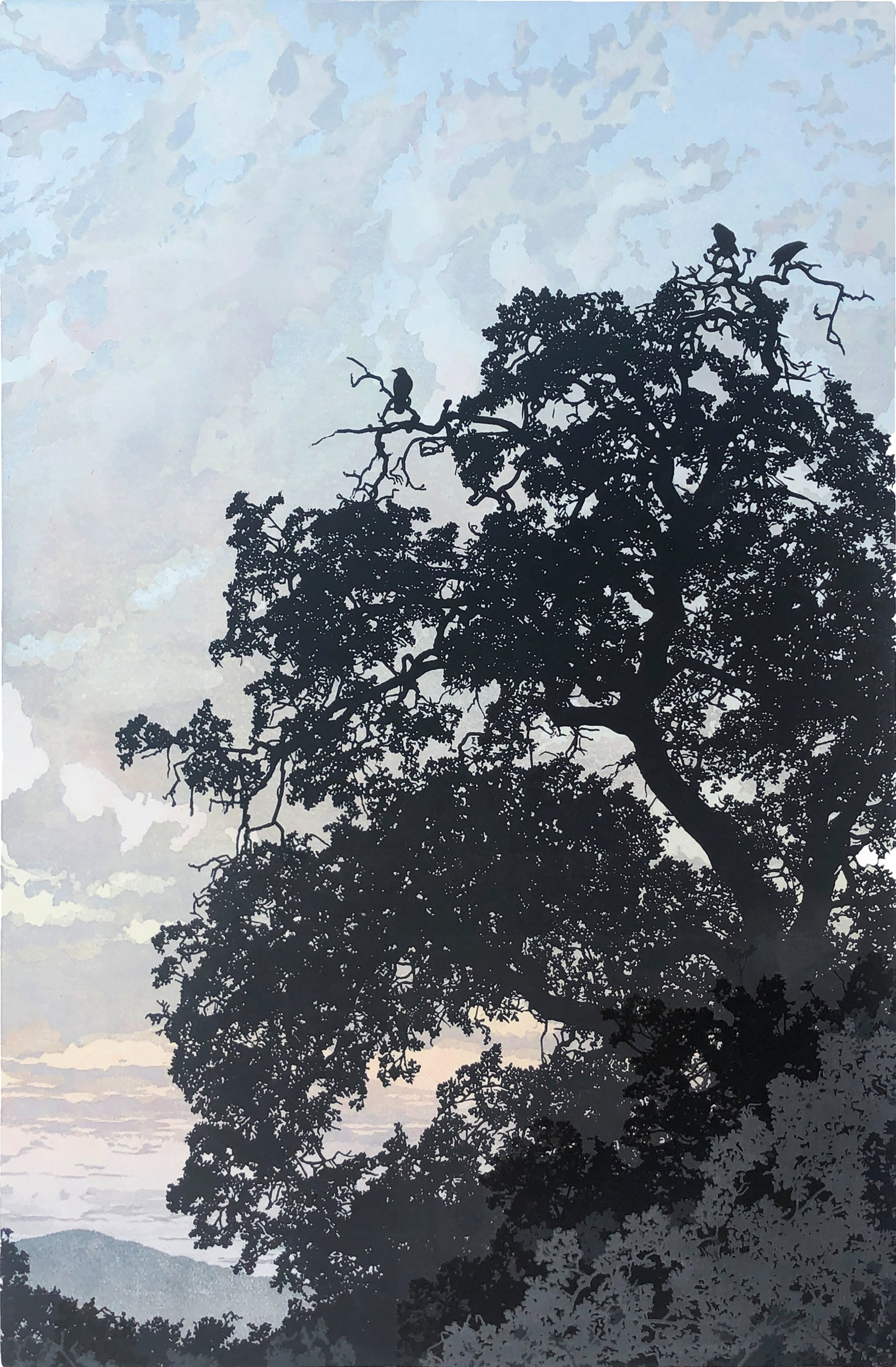 "View from the Top", Limited Edition of 27, 
24” x 16” Reductive Linocut Relief Print
