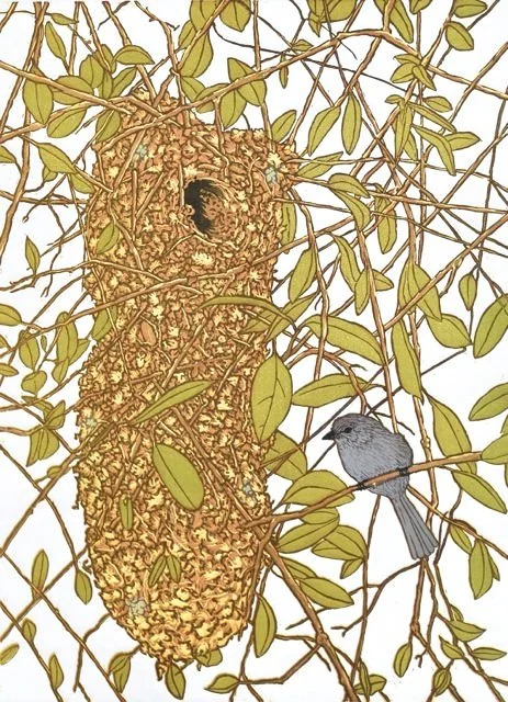 "Bushtit's Nest" (Nest Series), Limited Edition of 29, Reductive Linocut Relief Print