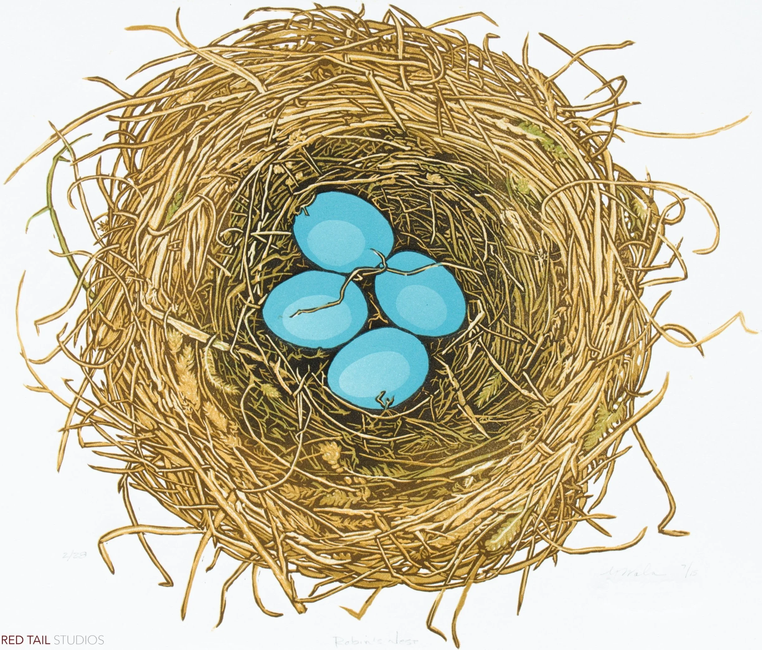 "Robin's Nest" (State I) (Nest Series), Limited Edition of 28, Reductive Linocut Relief Print