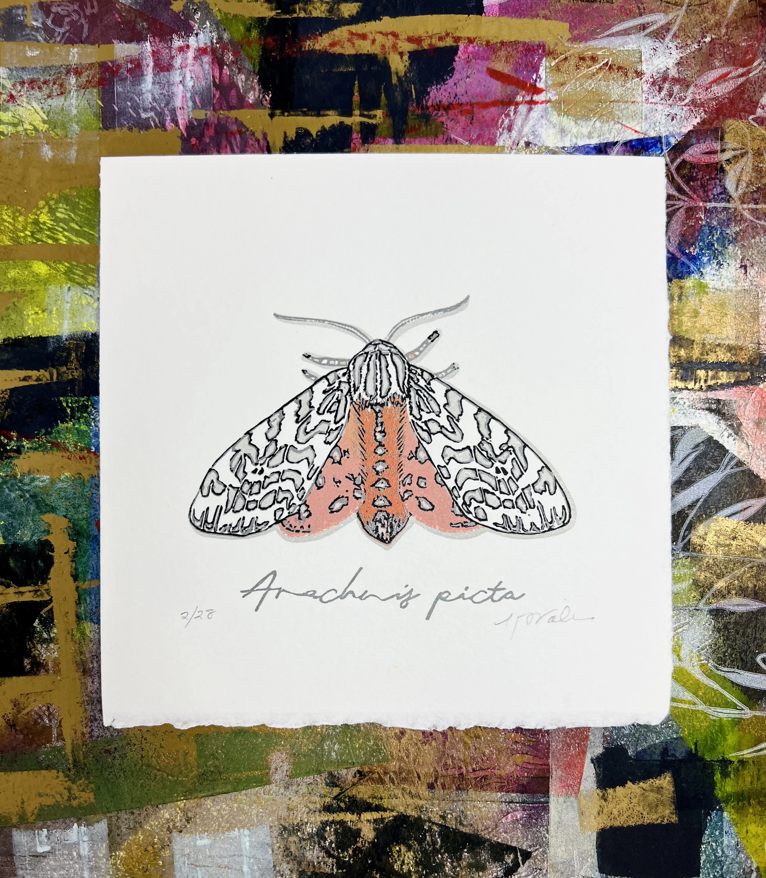  "Arachnis picta" (Moth Series), Limited Edition of 30, 3.75" x 3.25", Reductive Linocut Relief Print