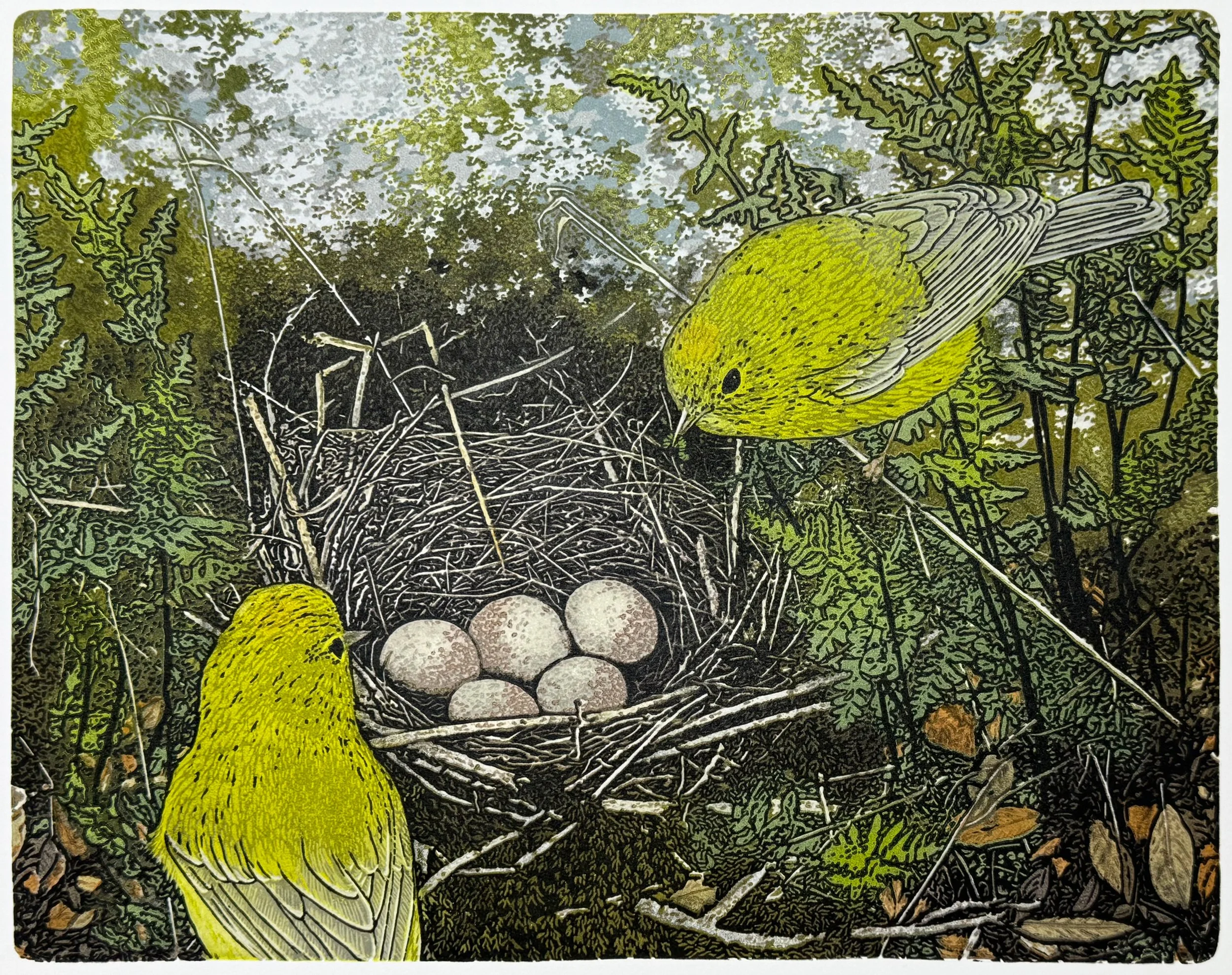"Anticipation" (Nest Series), Limited Edition of 19, 8.25" x 10.5", Reductive Linocut Relief Print