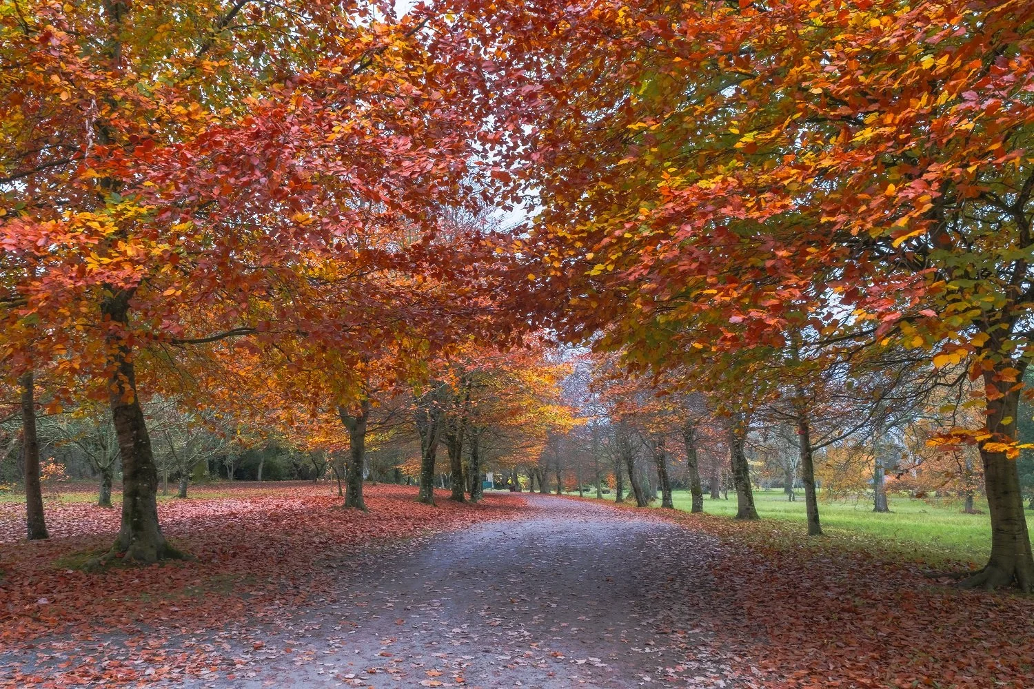 Autumn Challenge Critique Night (2027)