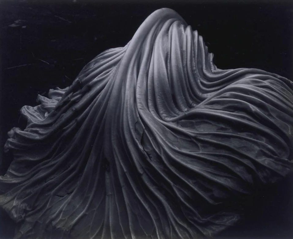 Edward Weston