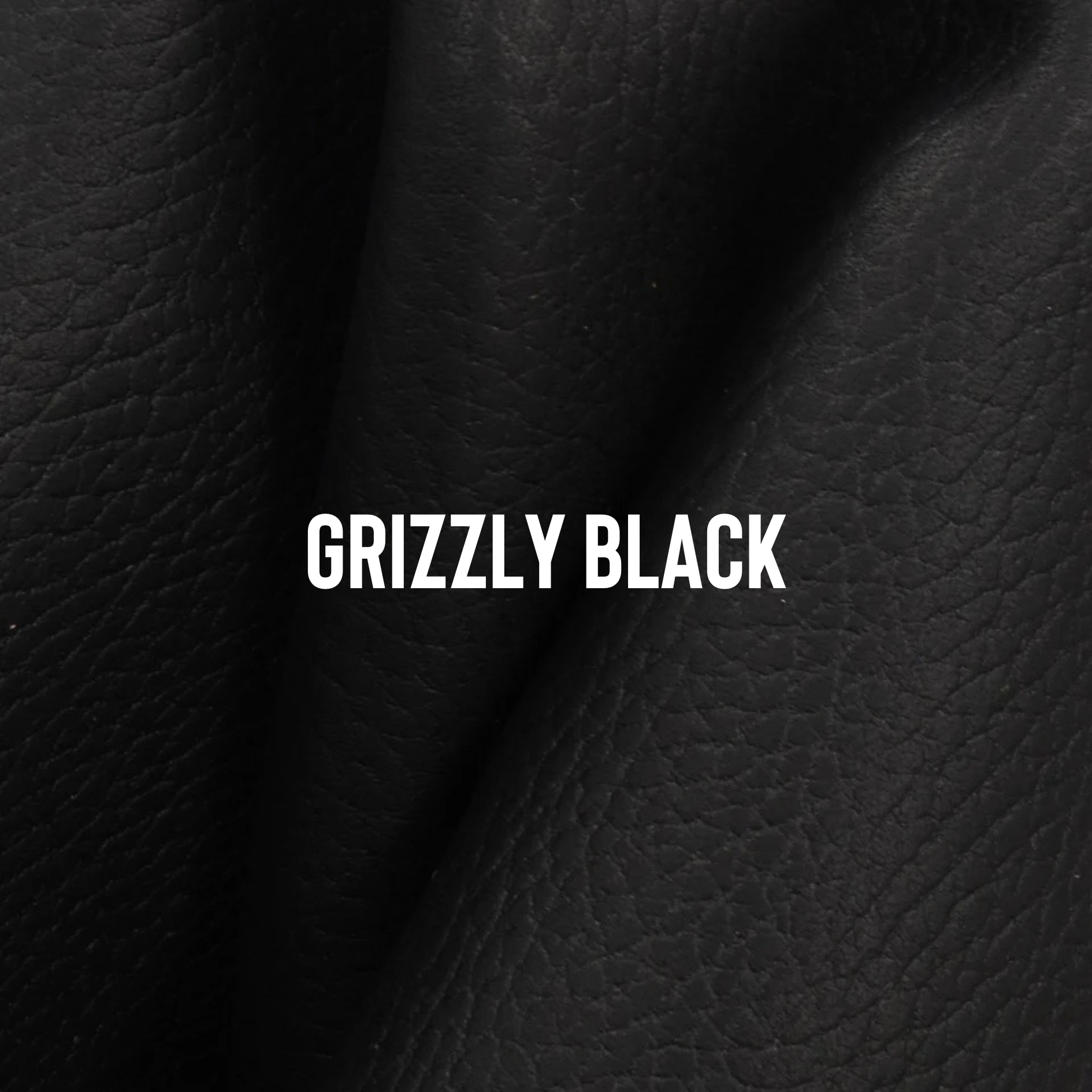 Grizzly Bear Black.png