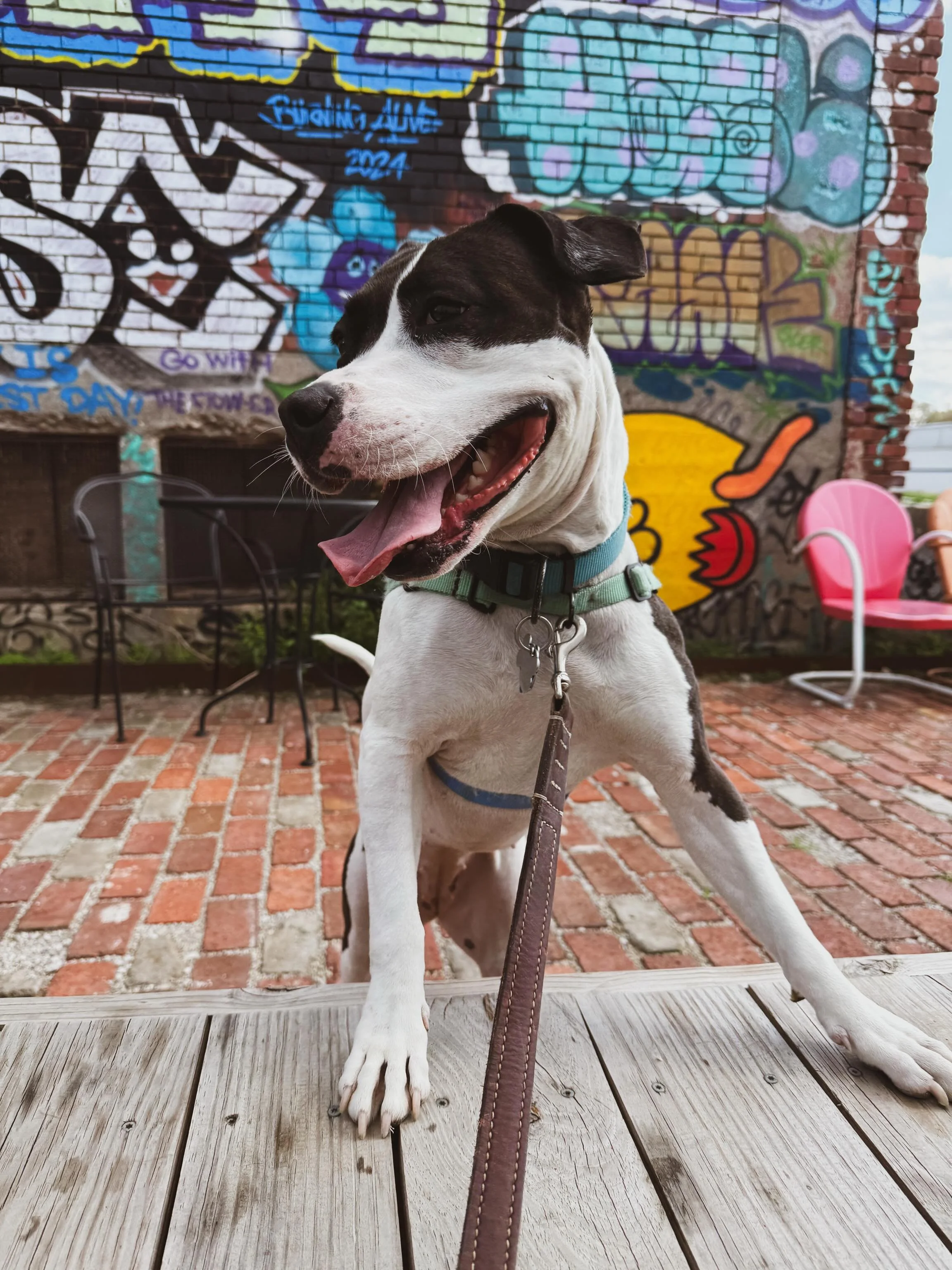 This is my baby girl. She&rsquo;s the cutest. @silosdayton