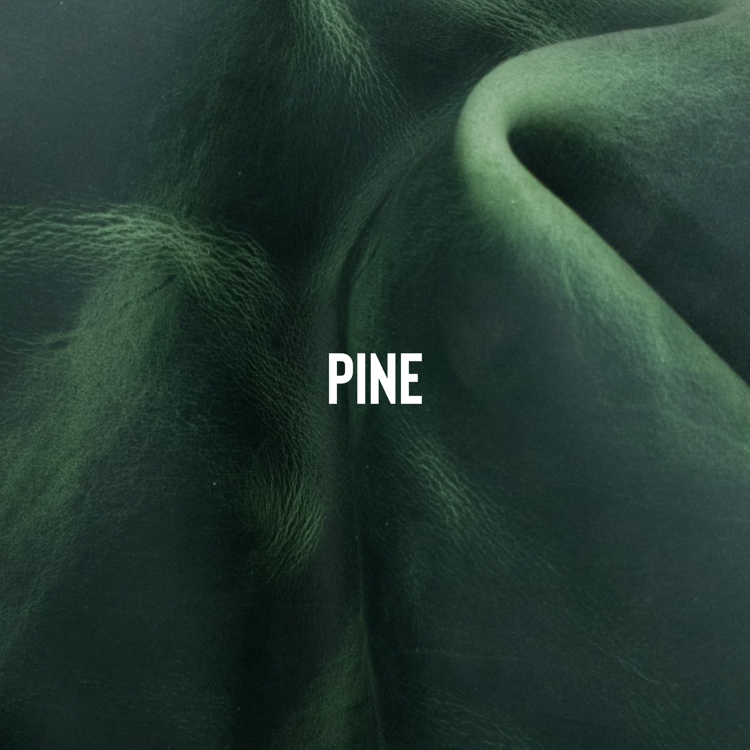 Pine Tree Green.png
