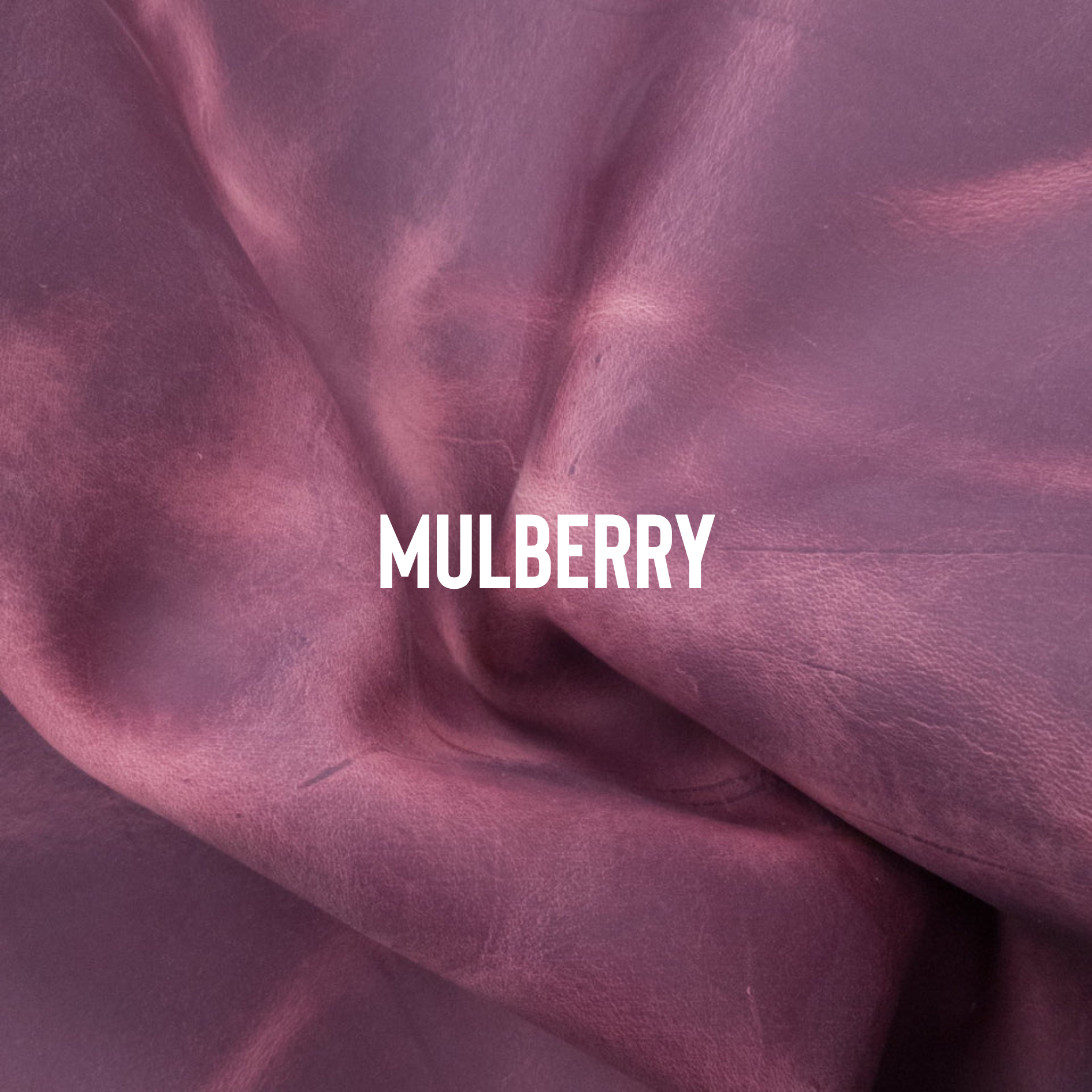 Mulberry Fields Forever.png