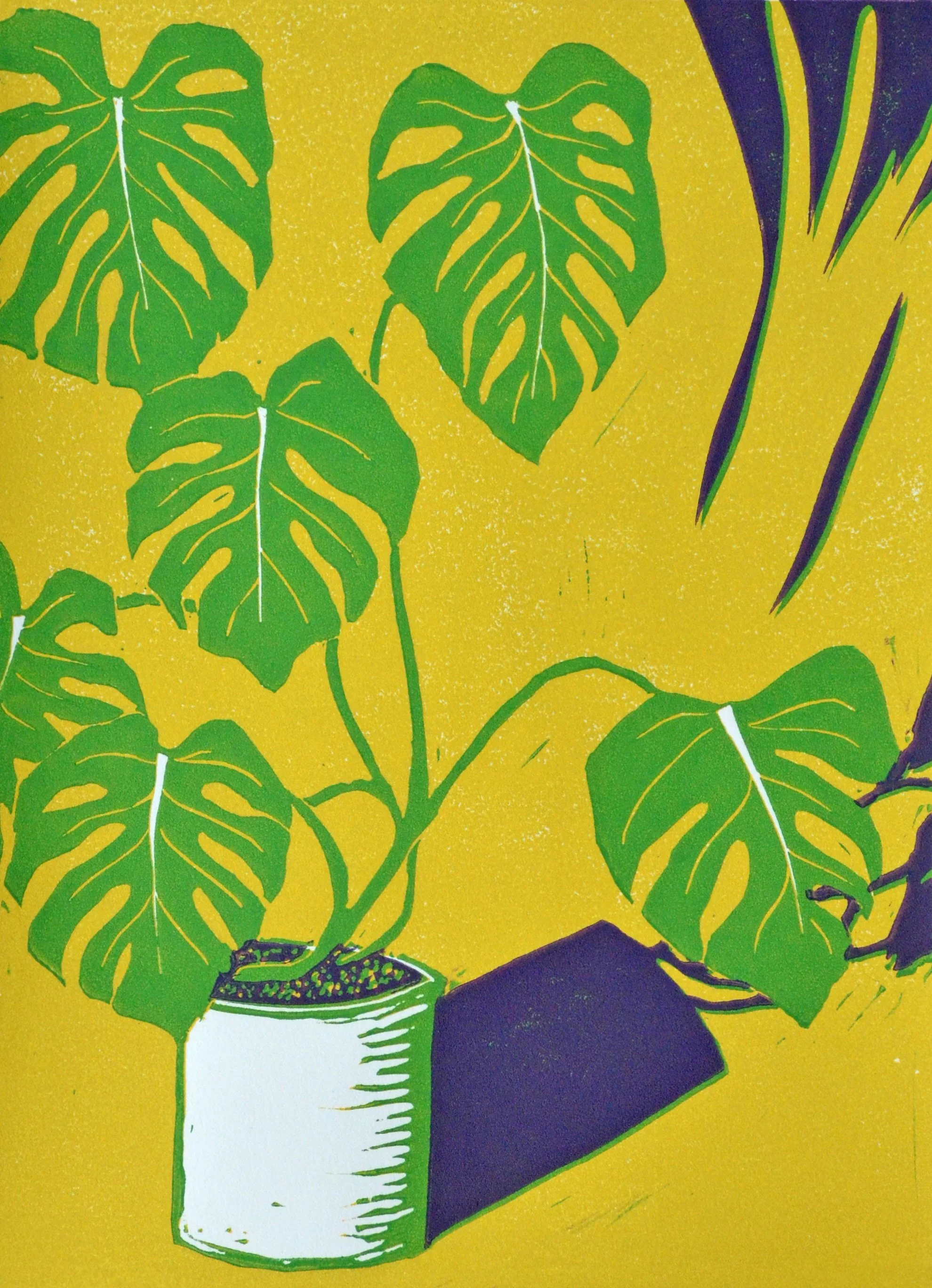 Monstera close crop.jpg